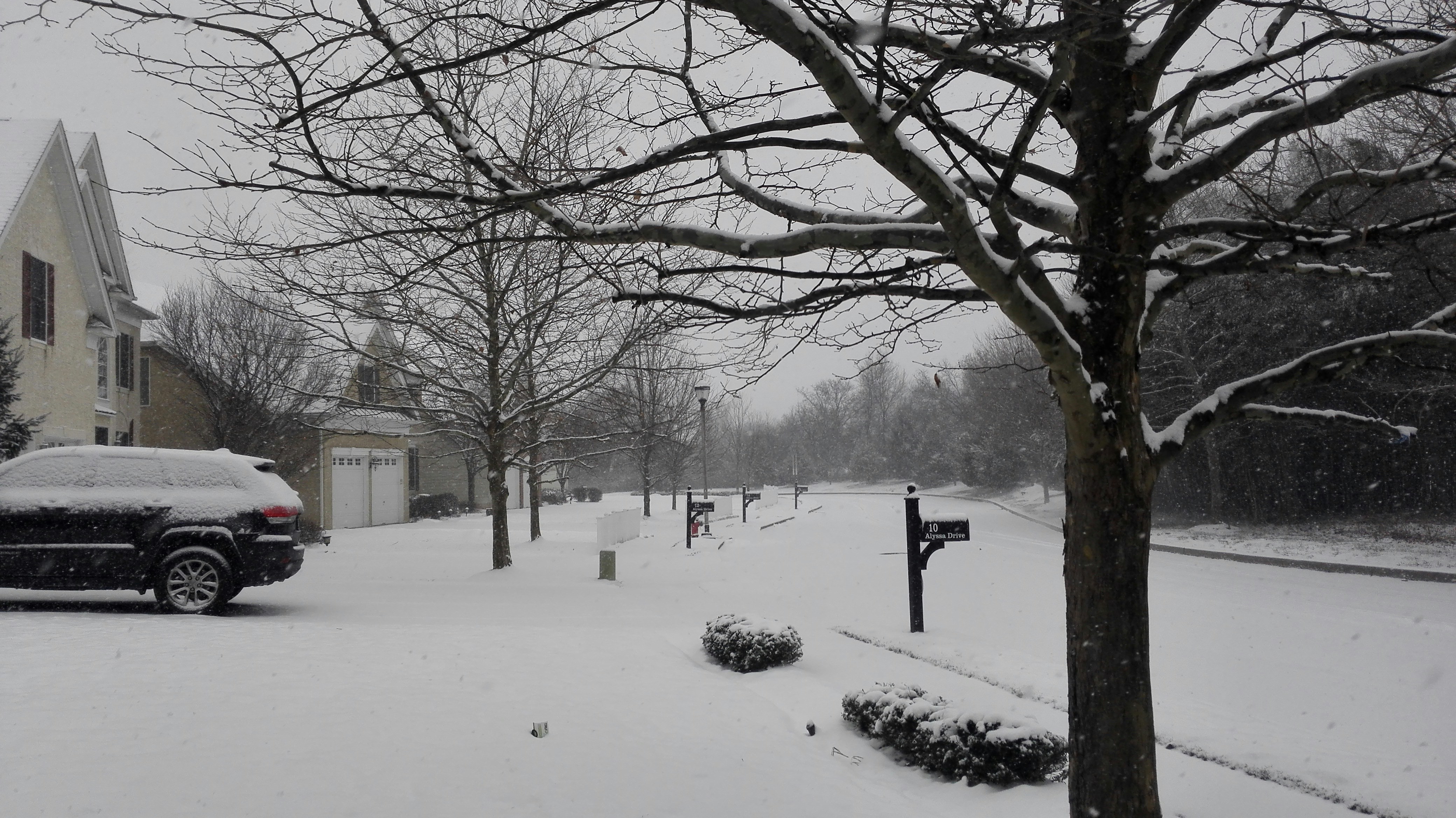 Free Unsplash photo from 贵安 邱