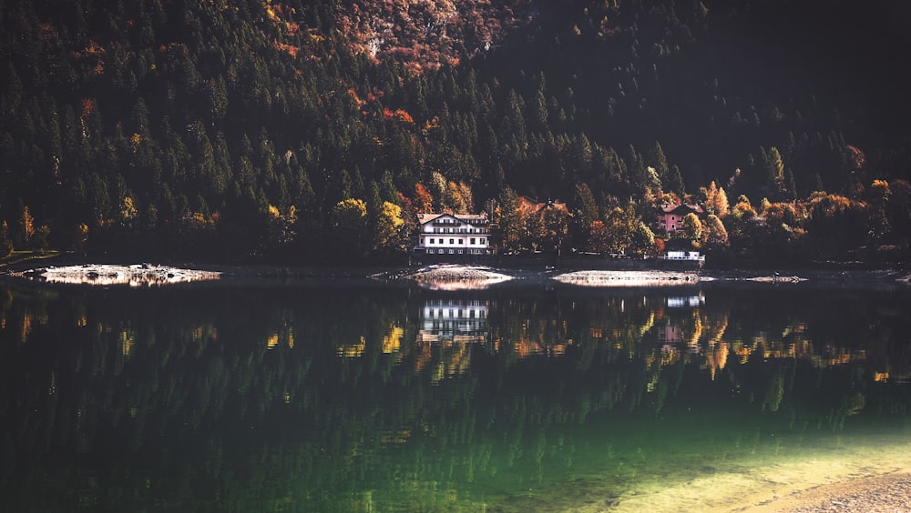 wooden house near mountain with trees and lake at daytime