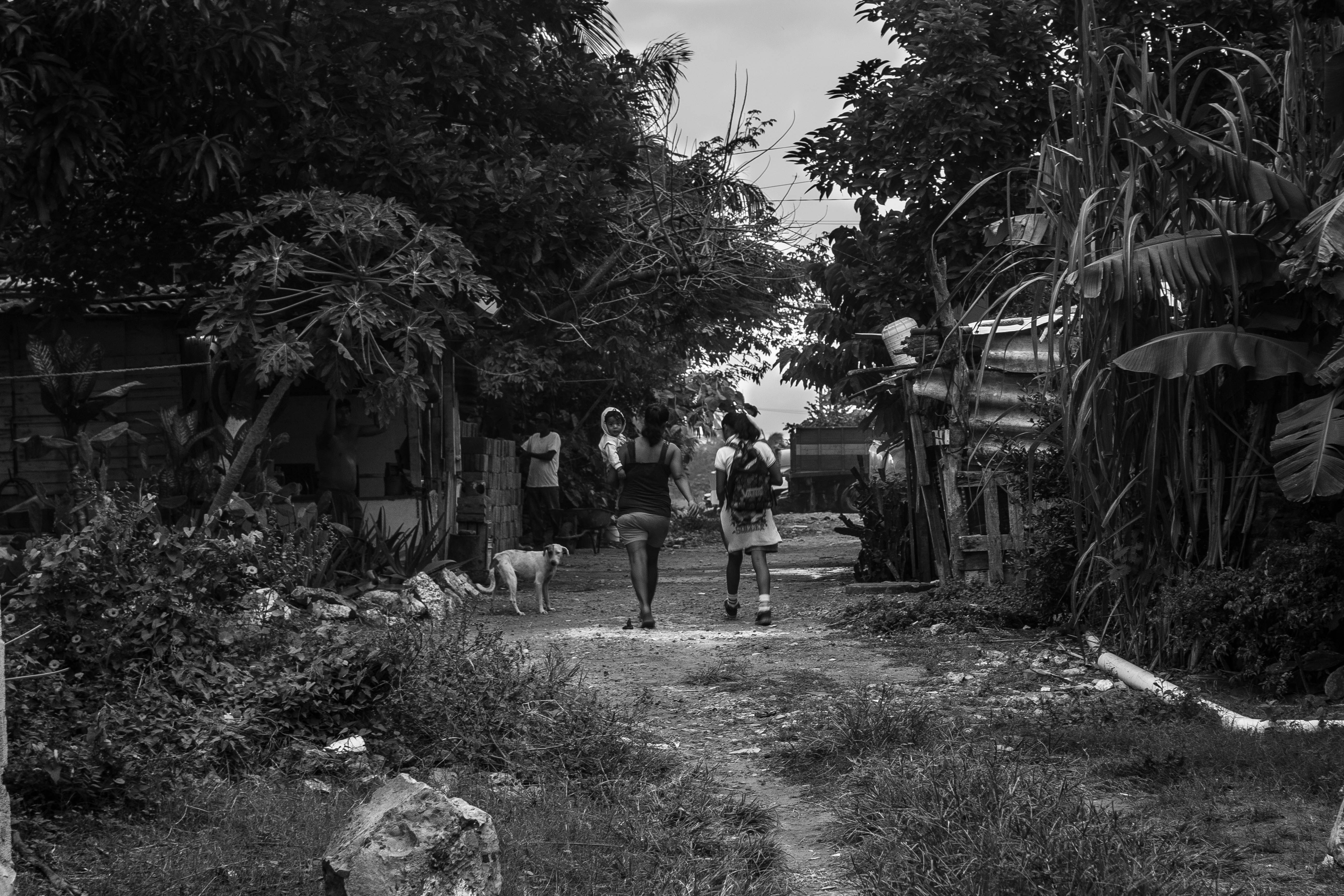 Free Unsplash photo from Maggie Vela