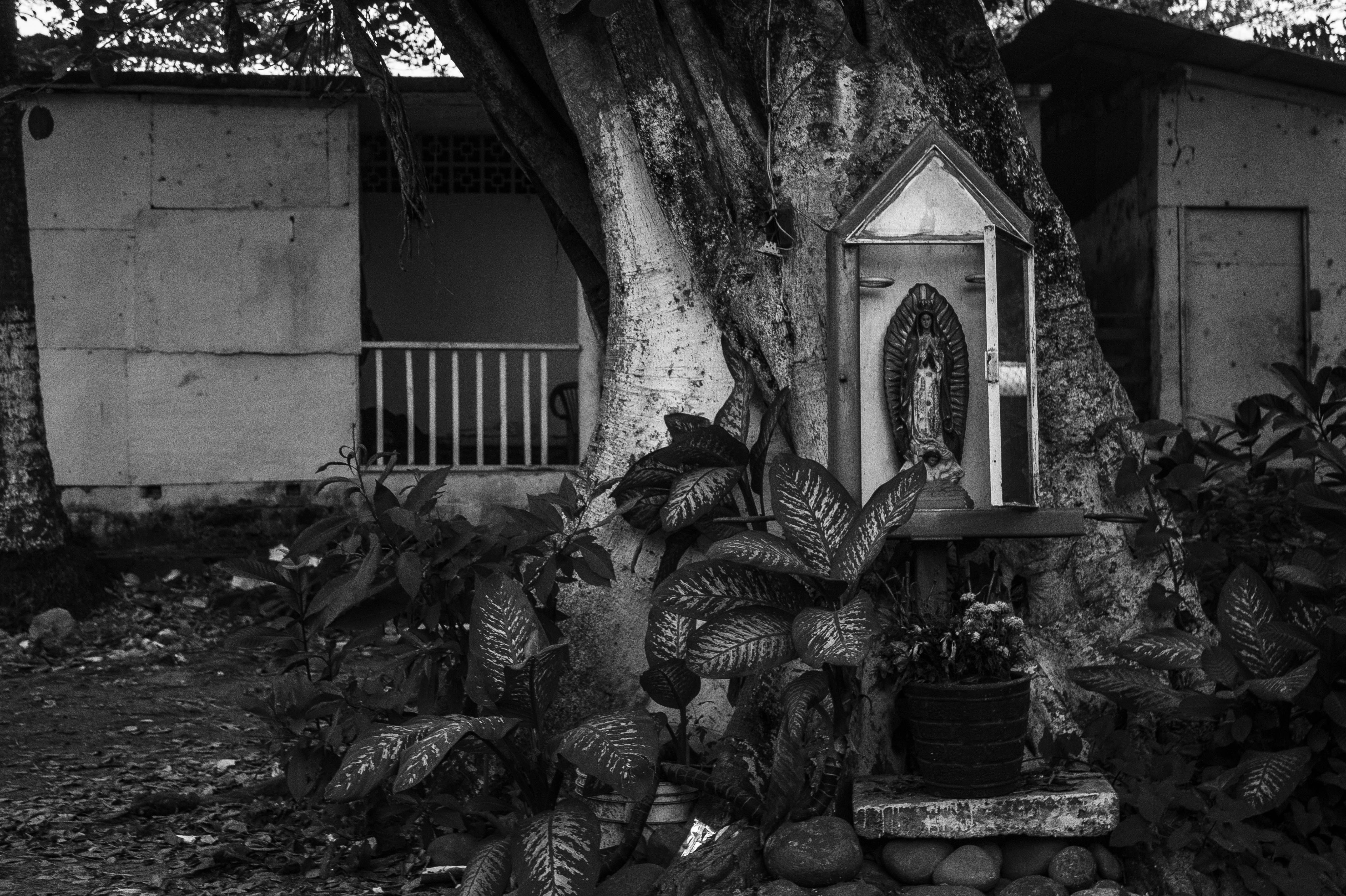 Free Unsplash photo from Maggie Vela