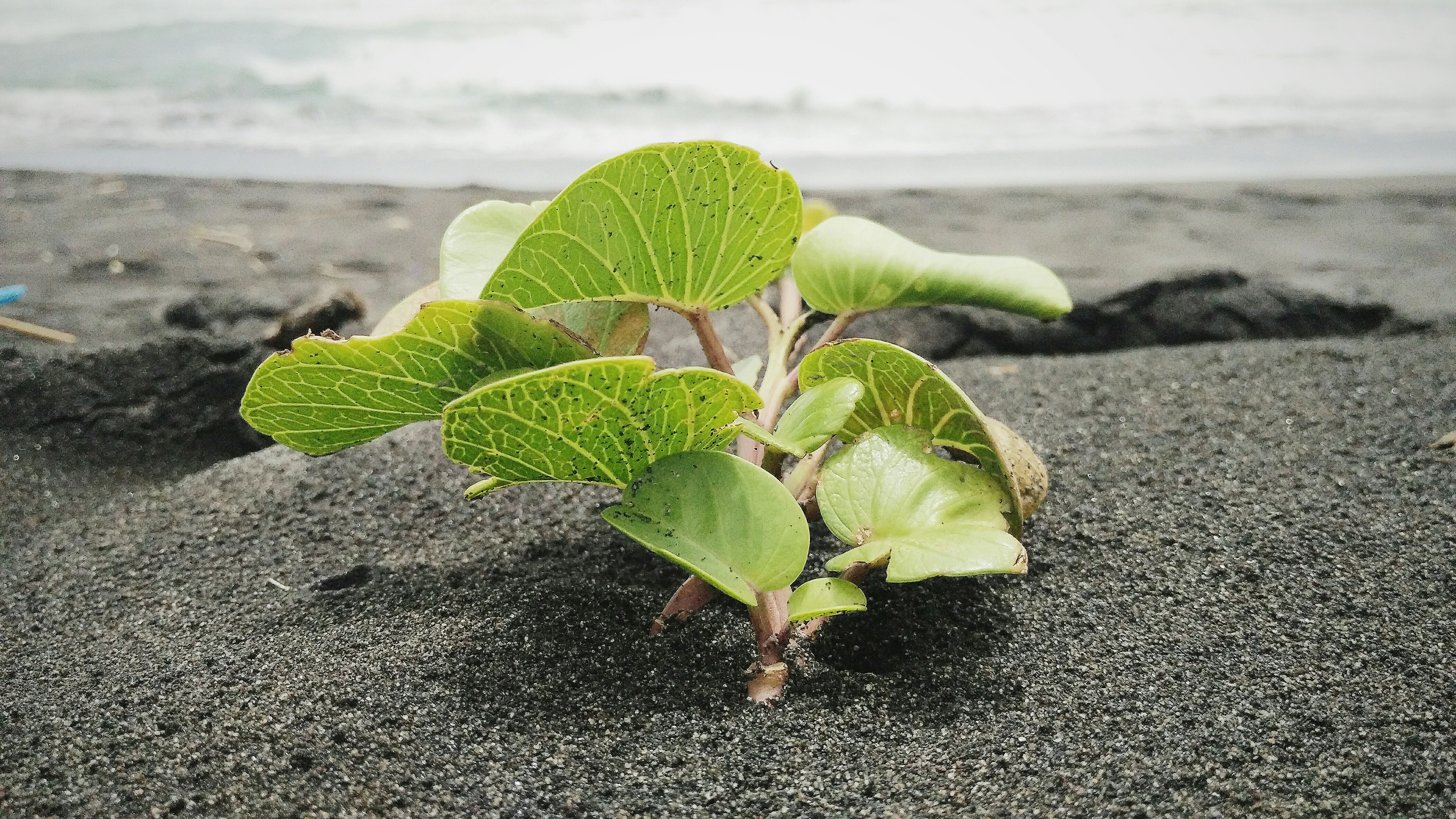 Free Unsplash photo from Wafa Rizki