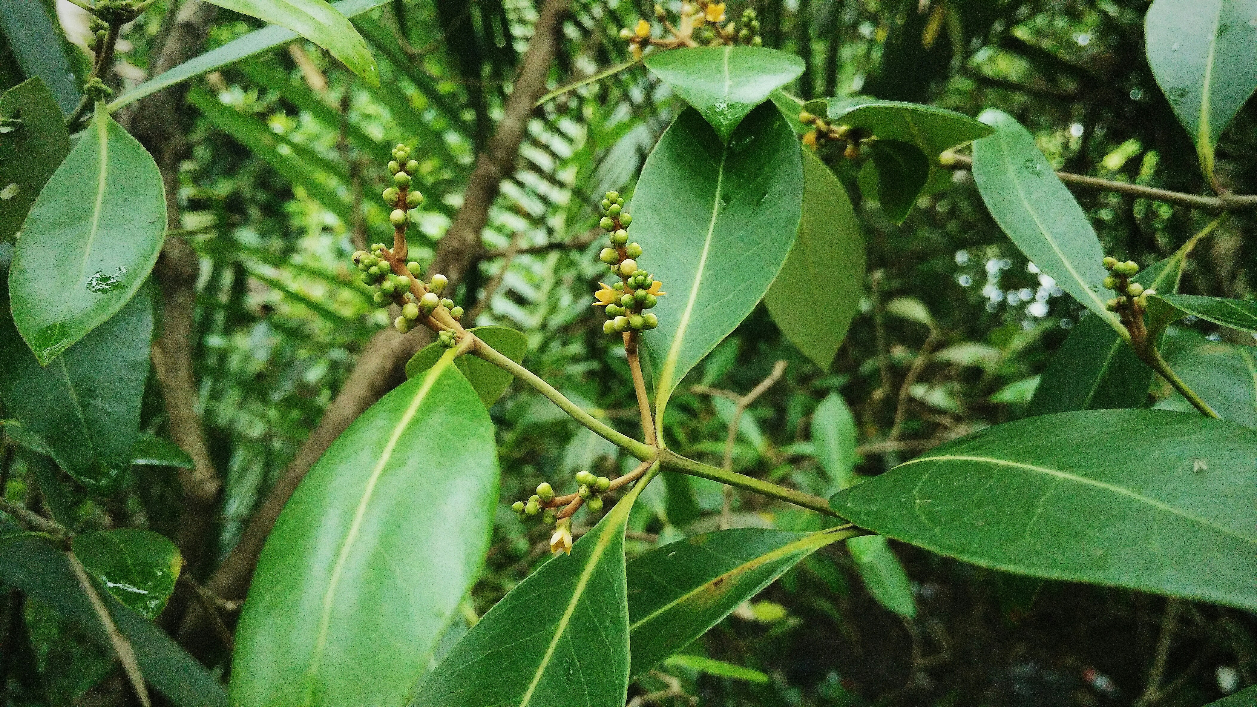 Free Unsplash photo from Wafa Rizki