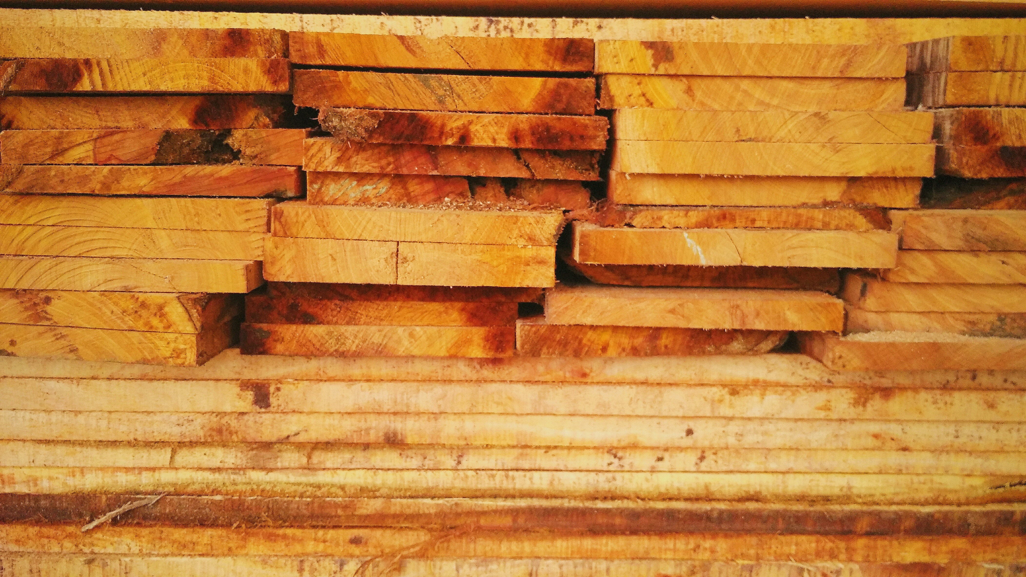 Free Unsplash photo from Wafa Rizki