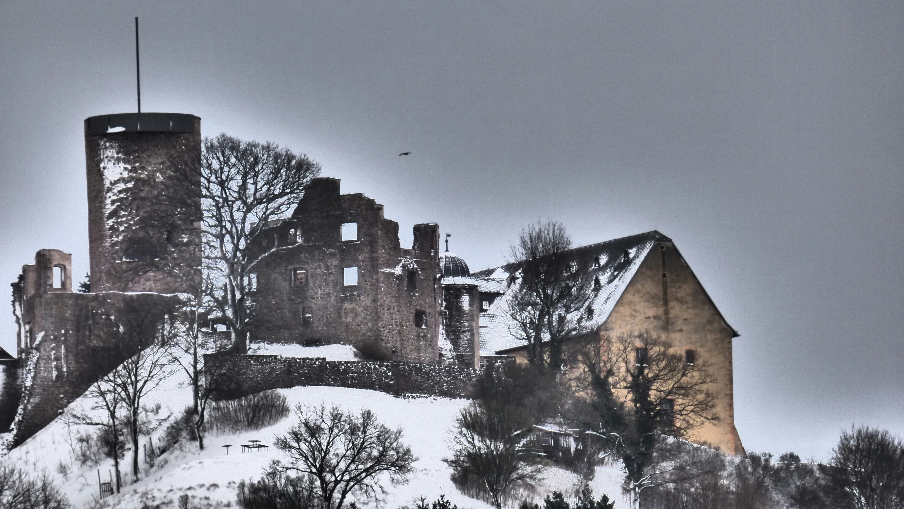 Free Unsplash photo from Roland Heidl