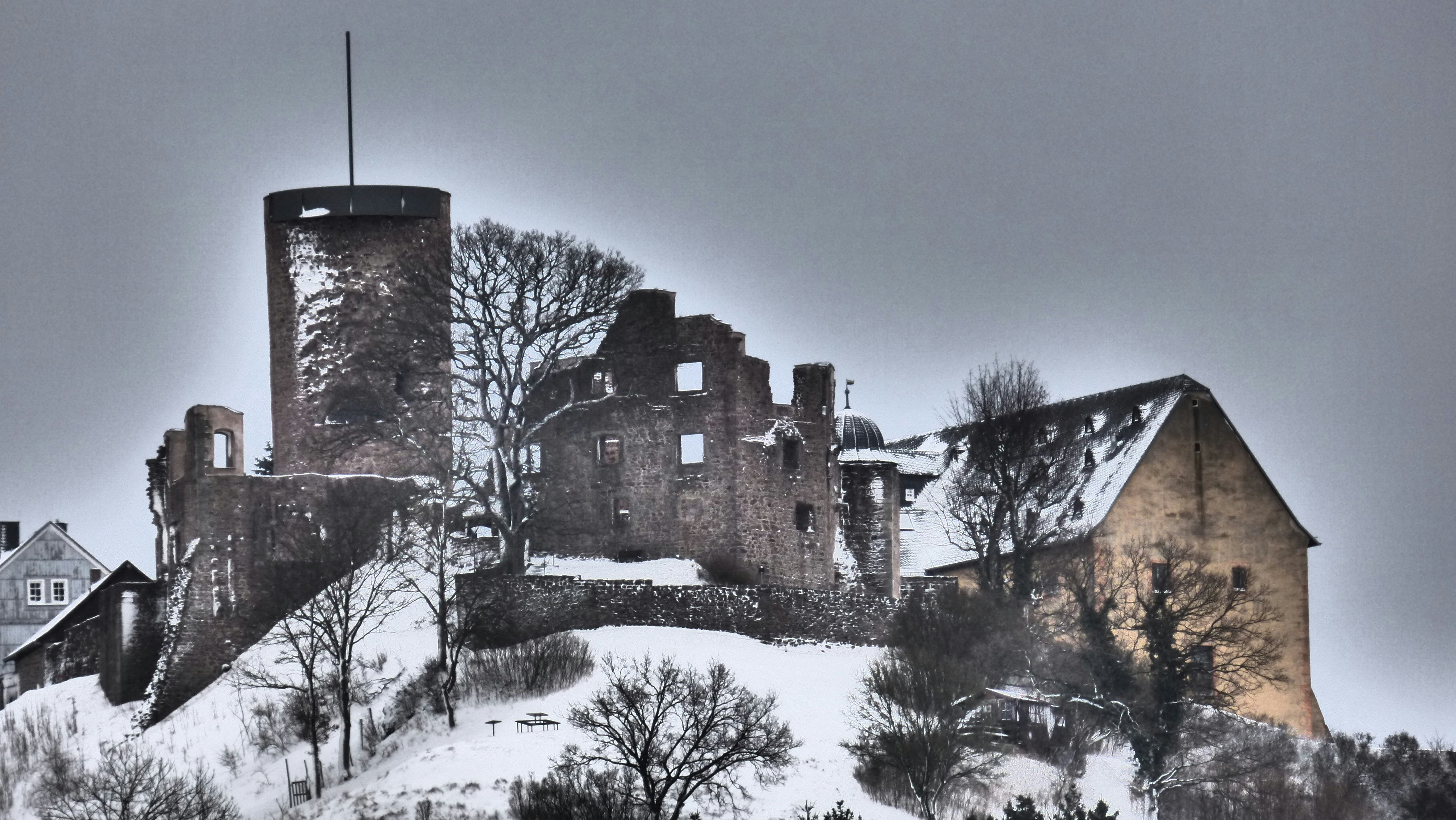 Free Unsplash photo from Roland Heidl