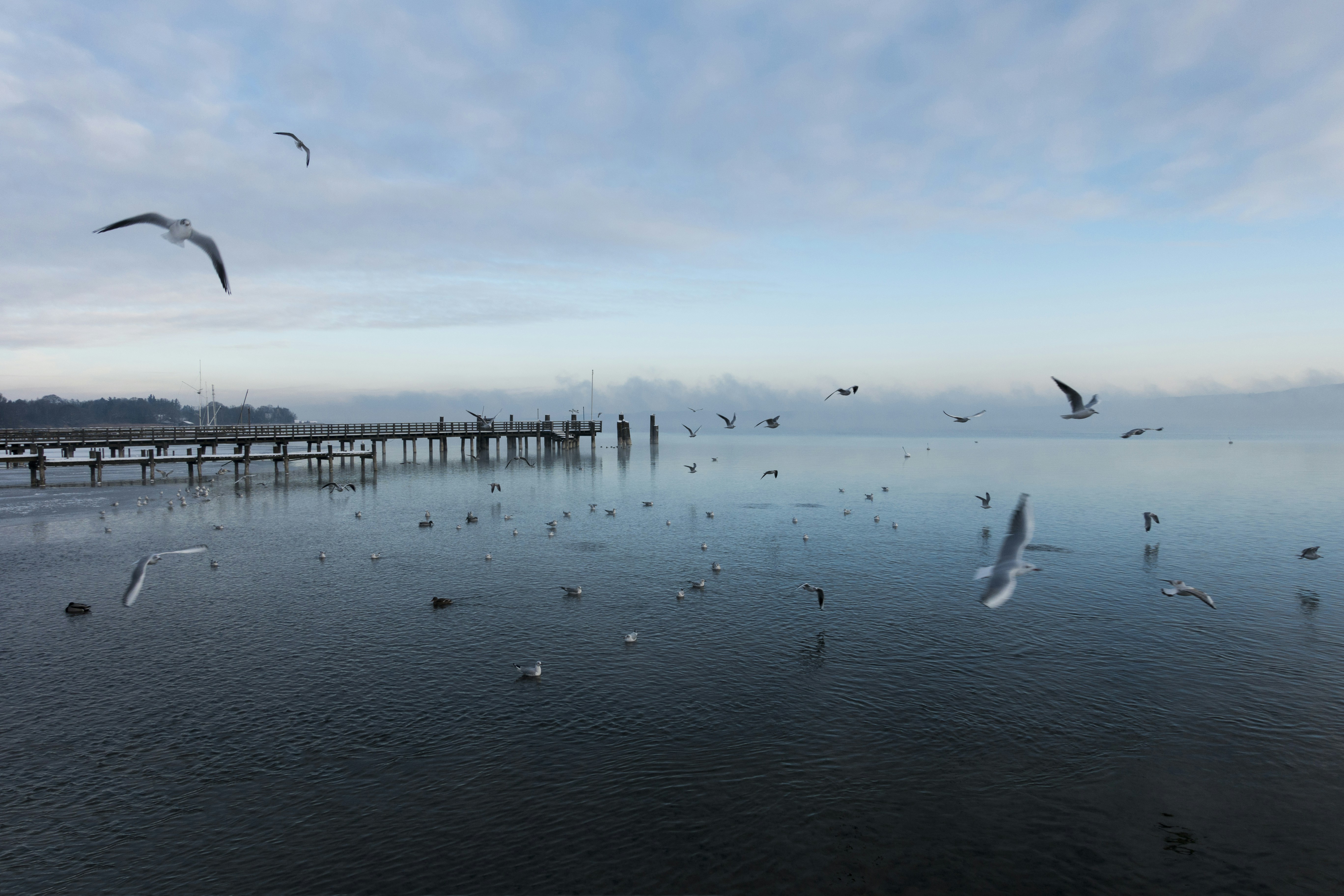 Free Unsplash photo from Elliot Banks