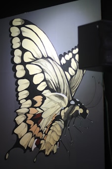 A large, artistic depiction of a butterfly with intricate patterns on its wings. The artwork predominantly features shades of cream, beige, black, and hints of orange, and is displayed on a dark background. A shadow or dark object partially obscures the right side of the image.
