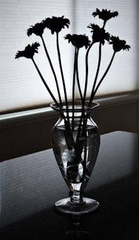 A sleek transparent glass vase catching light on a windowsill with a single elegant stem.