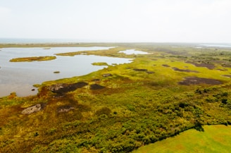 Aerial view of a recharged aquifer area with wetlands and natural water channels.