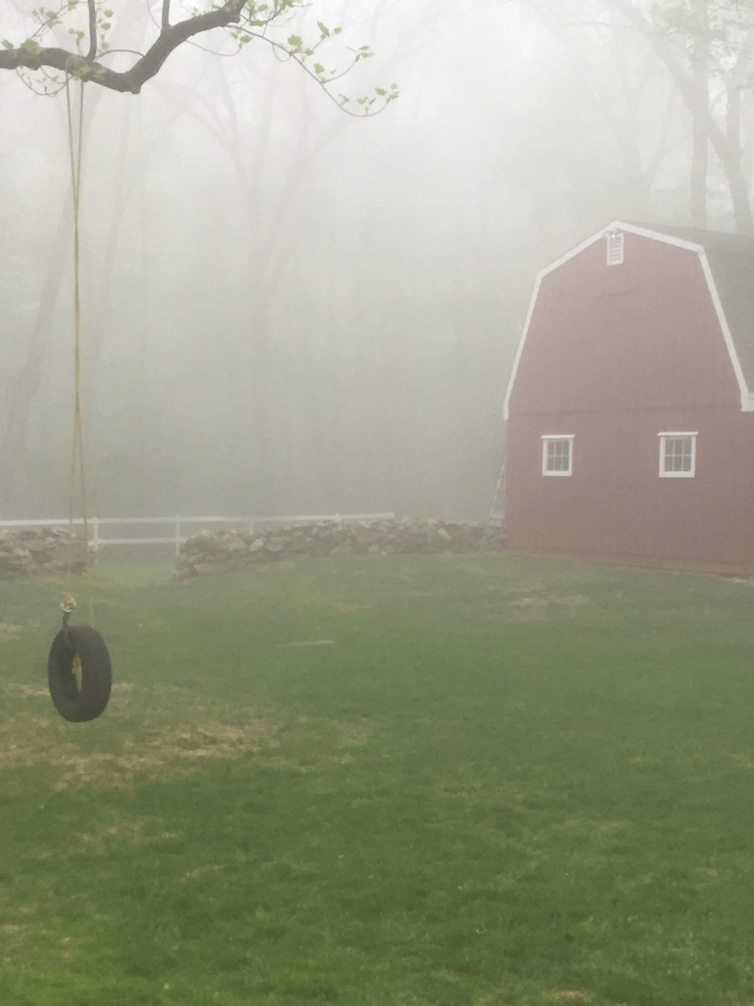 Free Unsplash photo from Michaela Dempsey