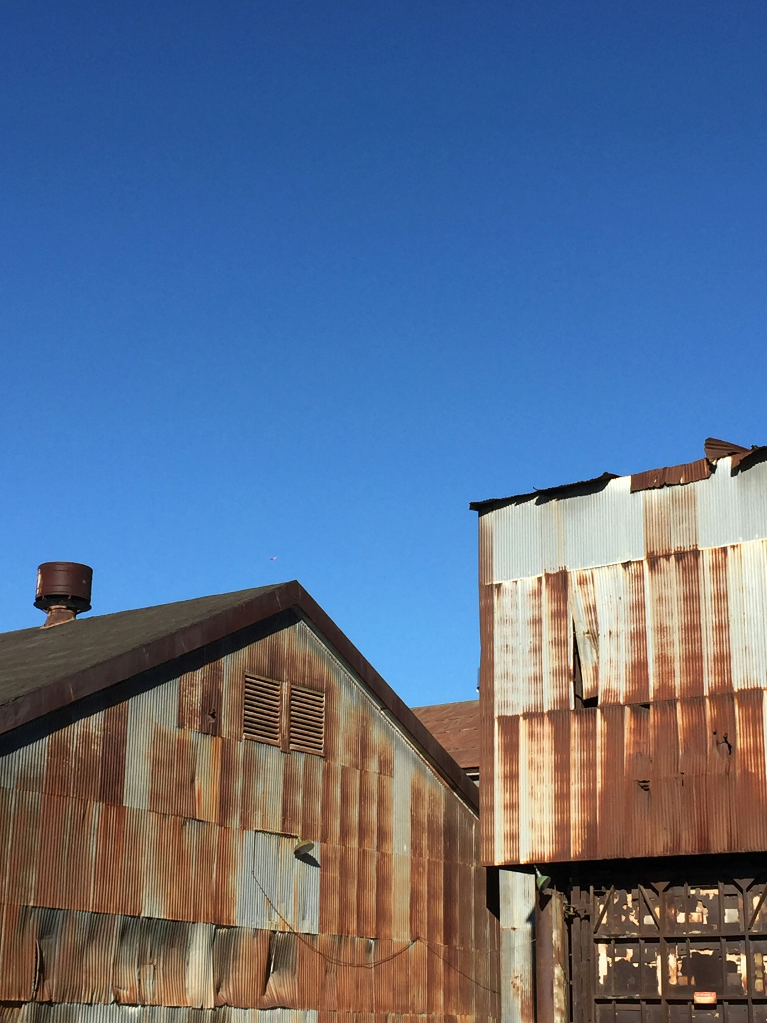 Free Unsplash photo from Michaela Dempsey