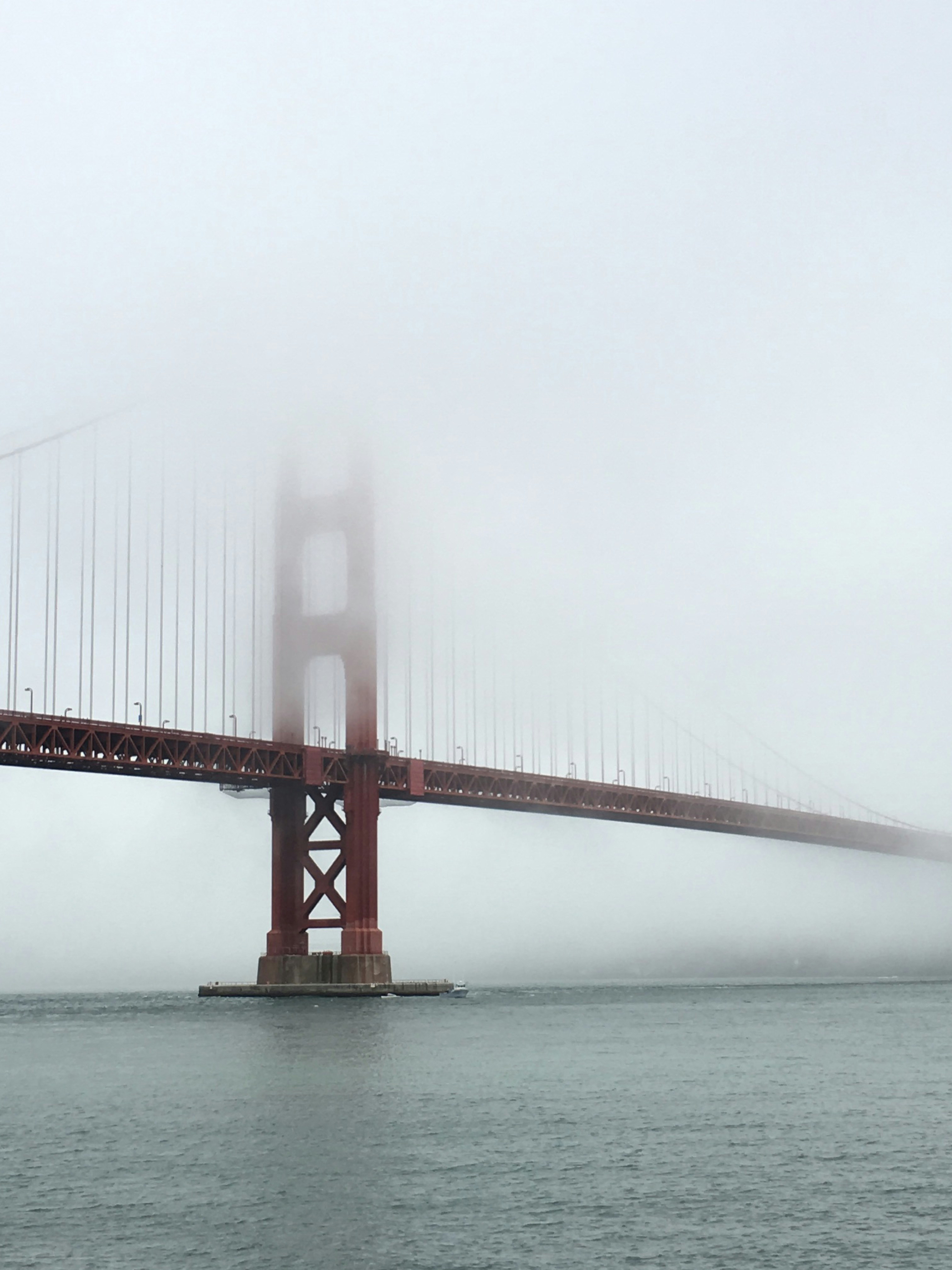 Free Unsplash photo from Michaela Dempsey