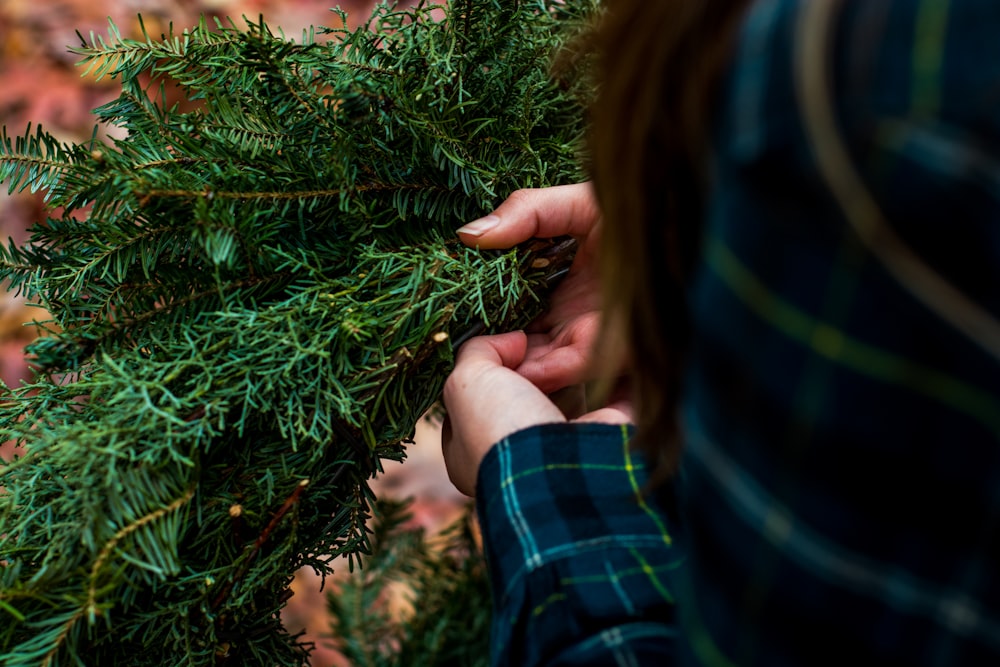 woman holding green pine bough selective focus photo