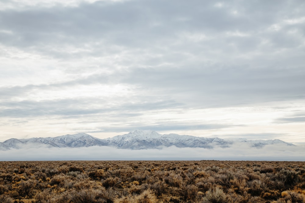 Campo estéril a través de la foto de la cordillera durante el día nublado