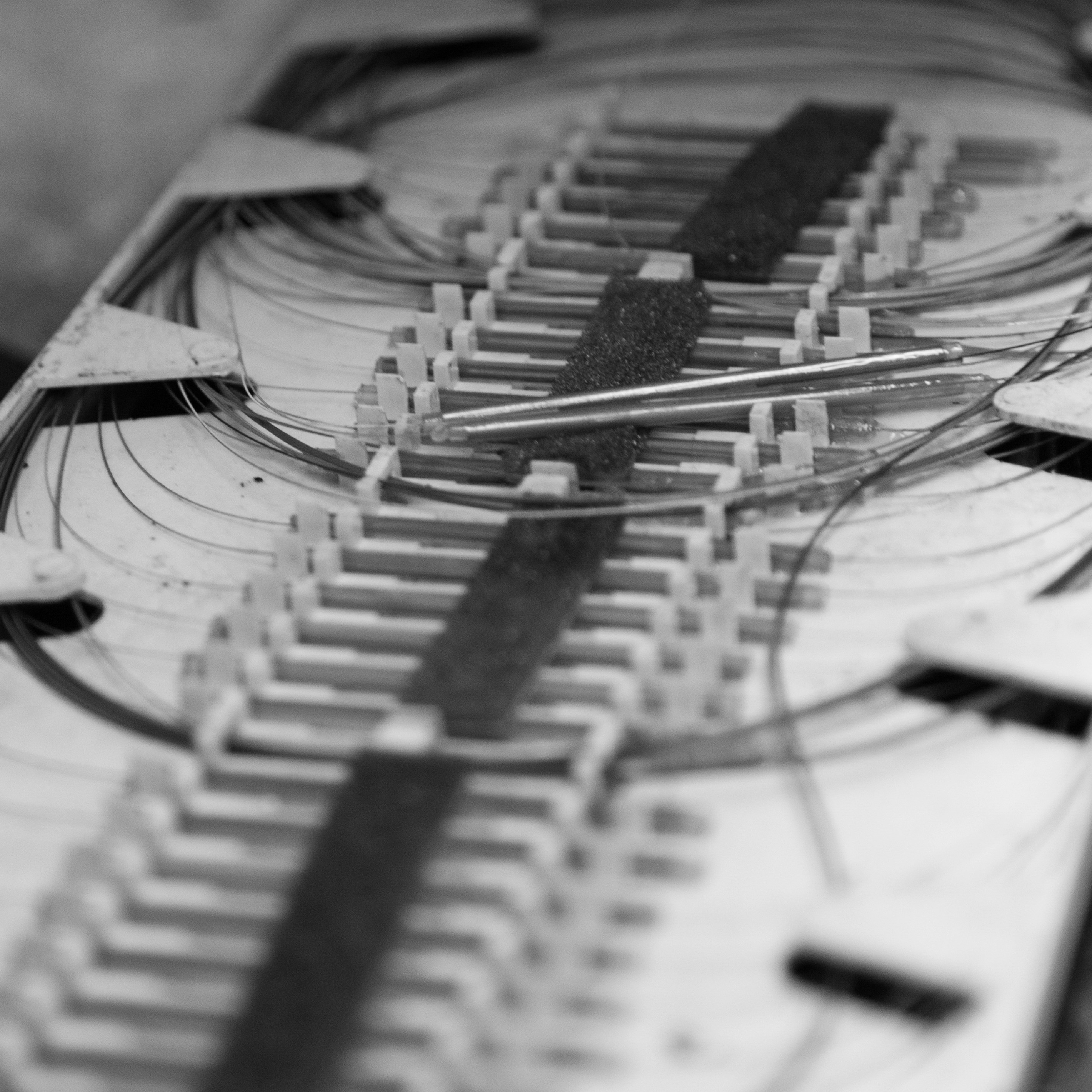 Free Unsplash photo from Jerry Renville