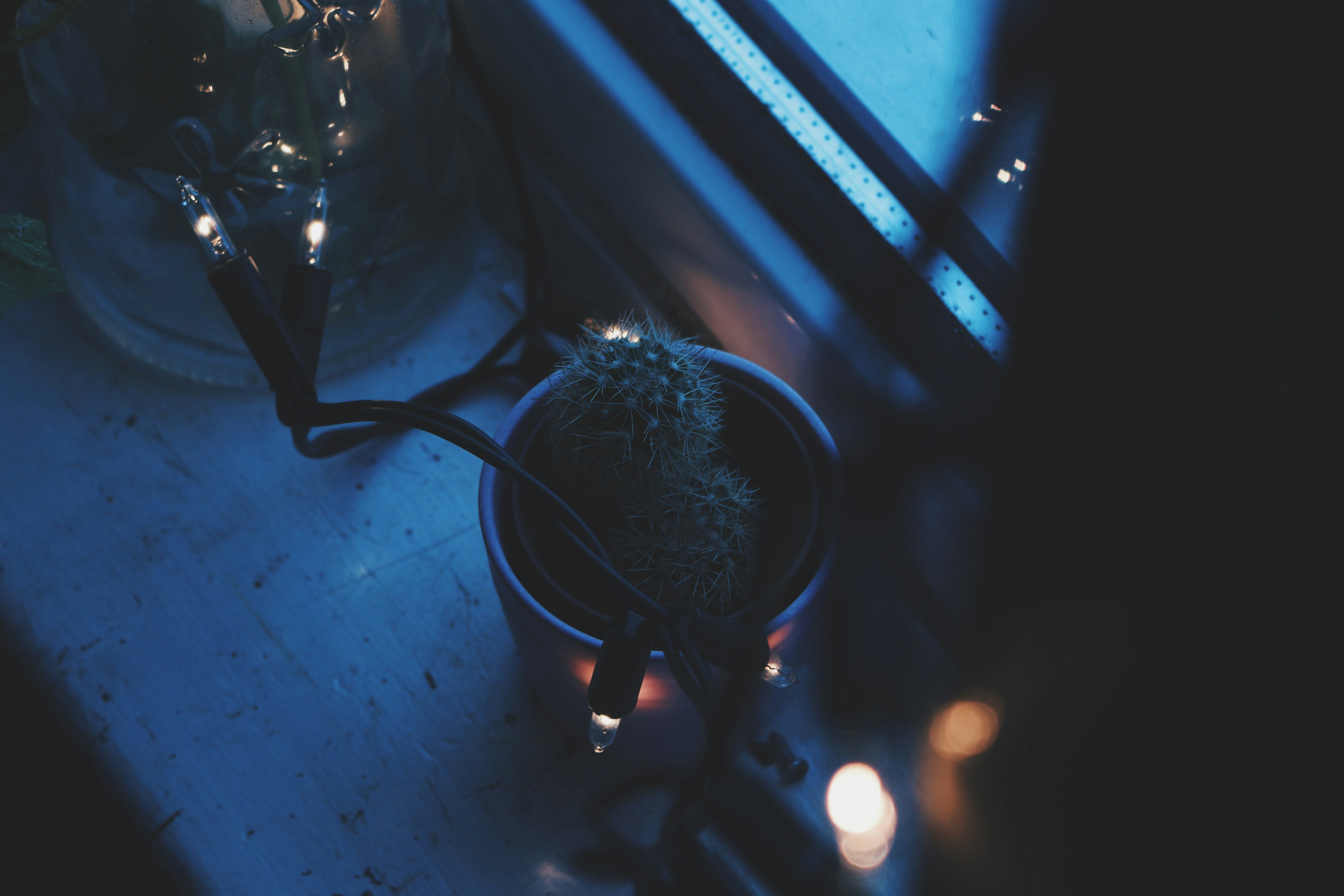 Free Unsplash photo from Euan Allen