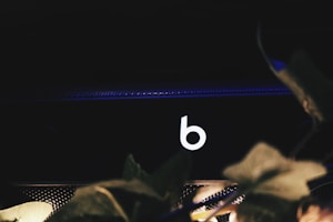 A white lowercase letter 'b' is prominently displayed against a dark background. The scene includes some blurred leaves in the foreground, possibly indicating an indoor setting with natural elements.