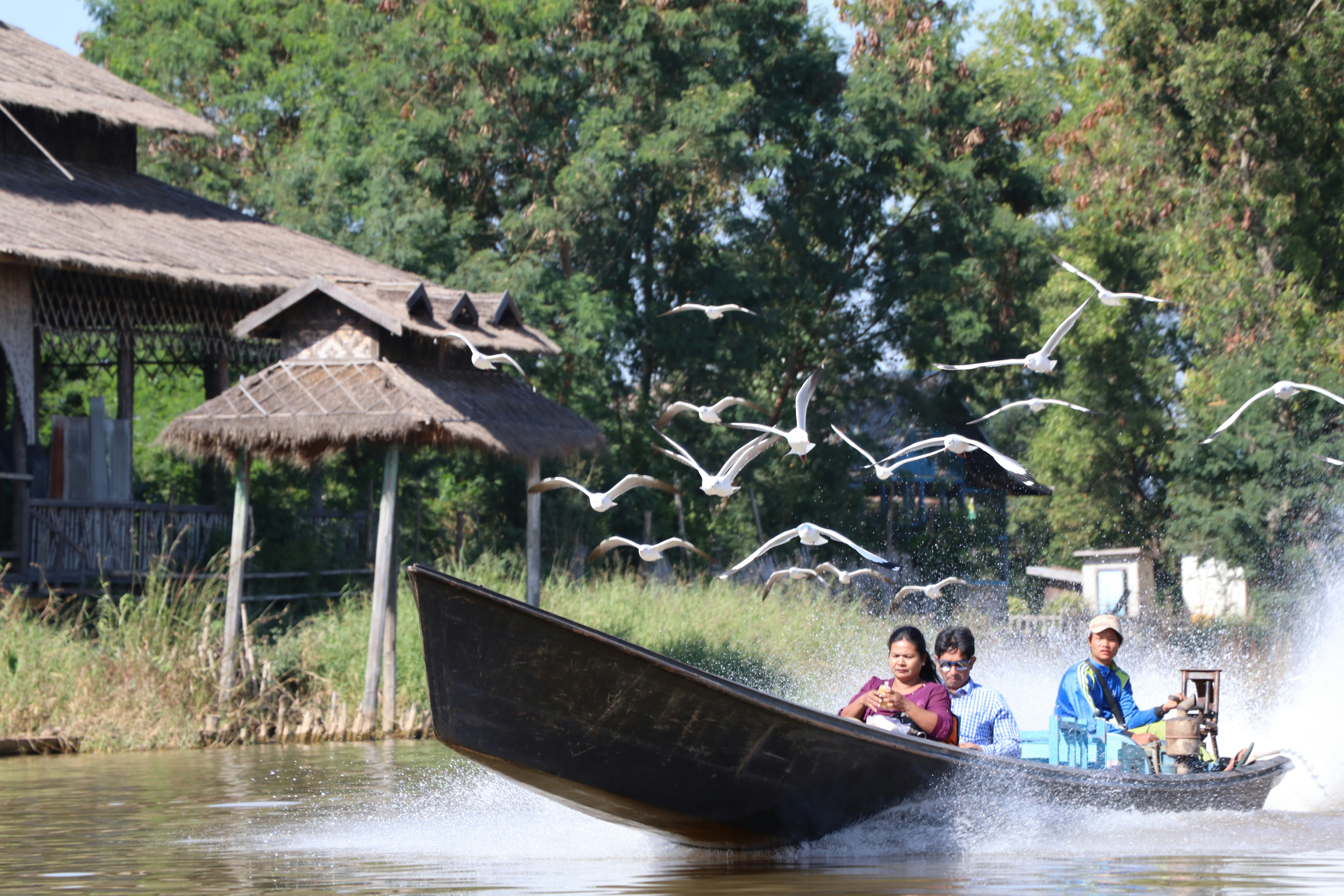 Free Unsplash photo from Tim Neal