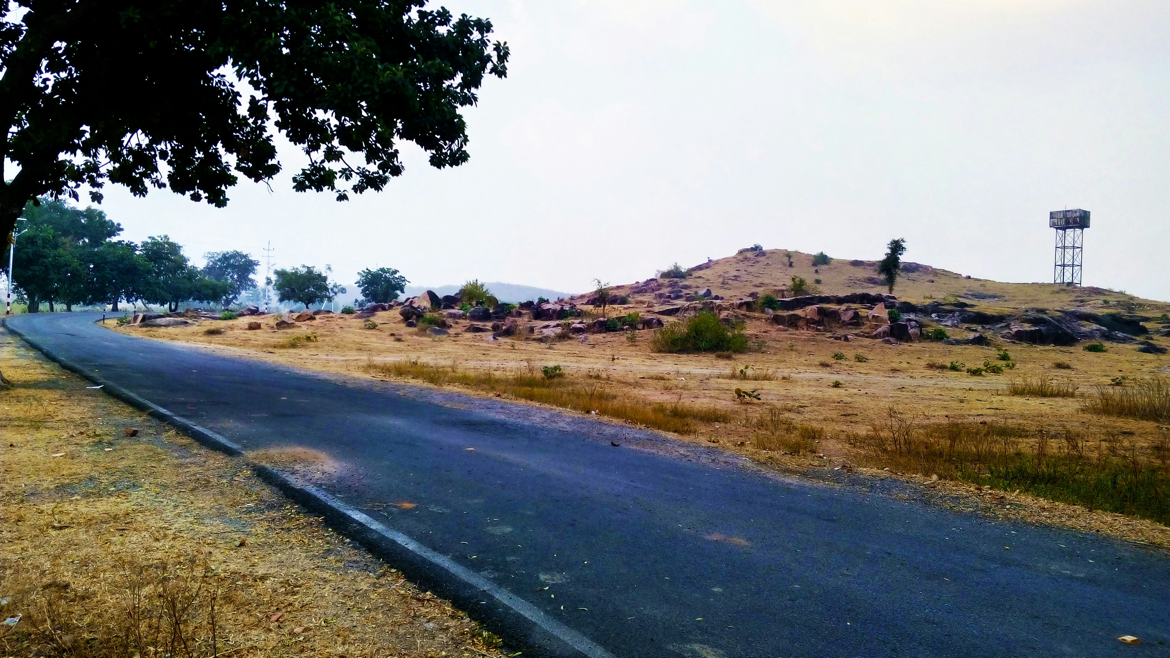 Free Unsplash photo from Uday Bhanu Bose