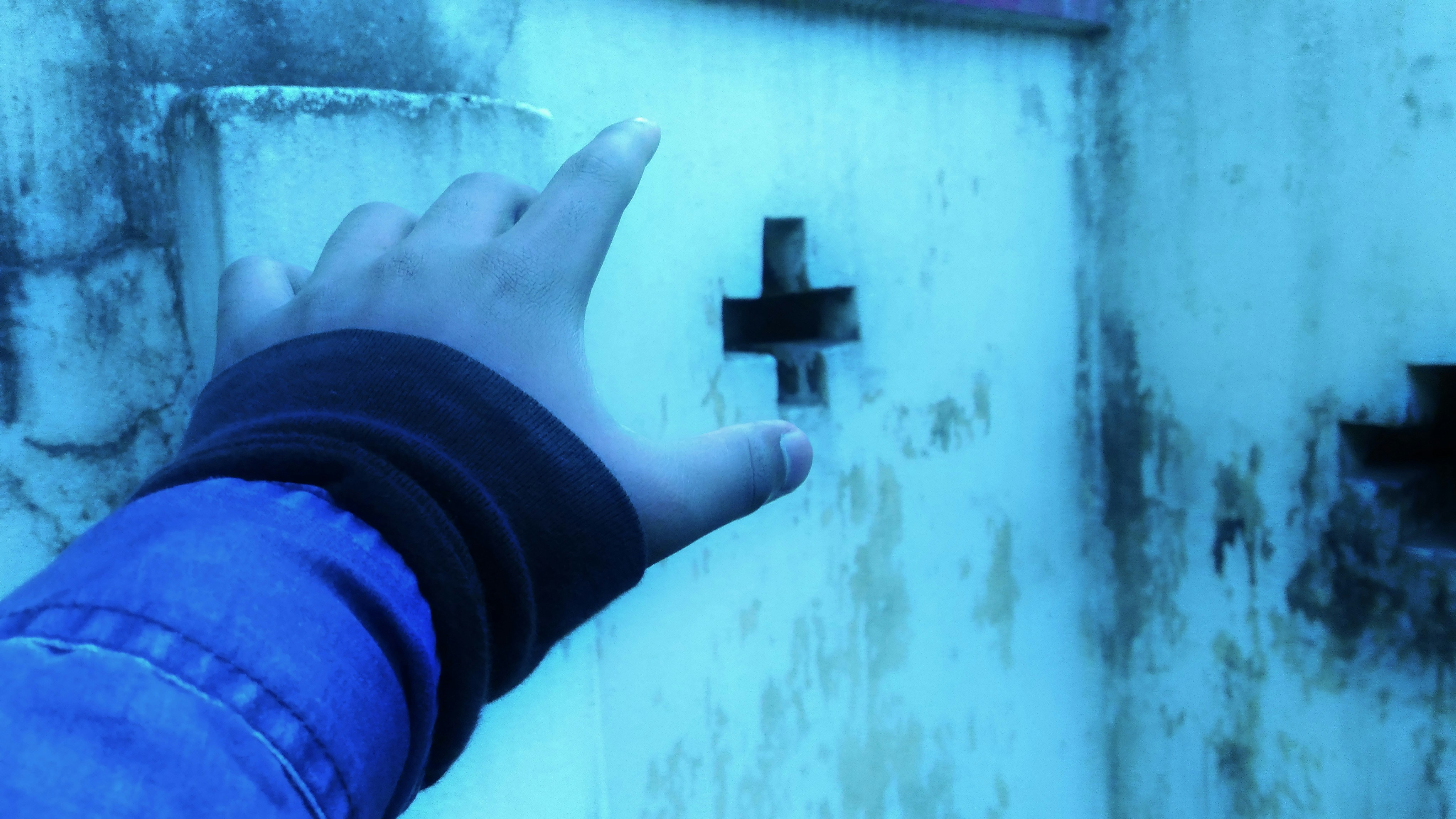 Free Unsplash photo from Uday Bhanu Bose