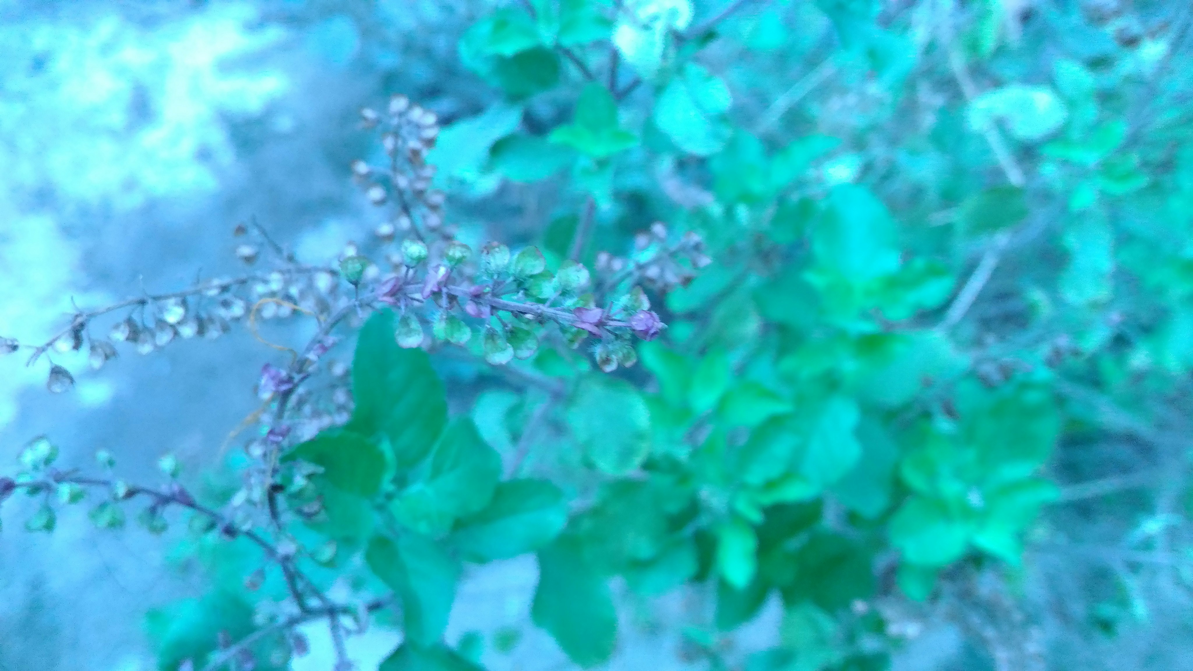 Free Unsplash photo from Uday Bhanu Bose