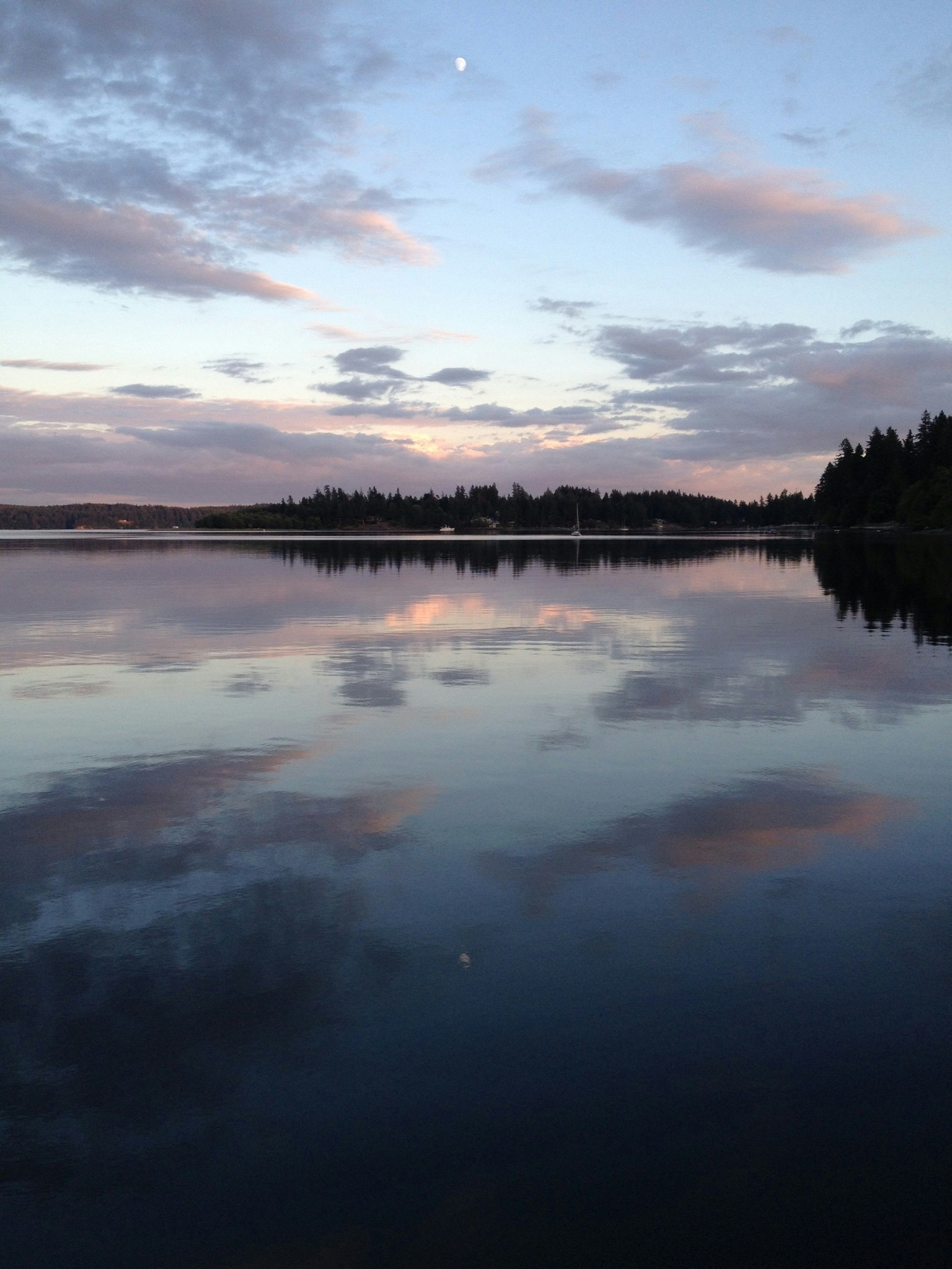 Free Unsplash photo from Cole Pringle