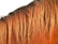 The image displays a close-up of a horse's mane, with strands of hair in a golden brown color cascading down. The texture of the hair is smooth and shiny, suggesting well-maintained equine hair.