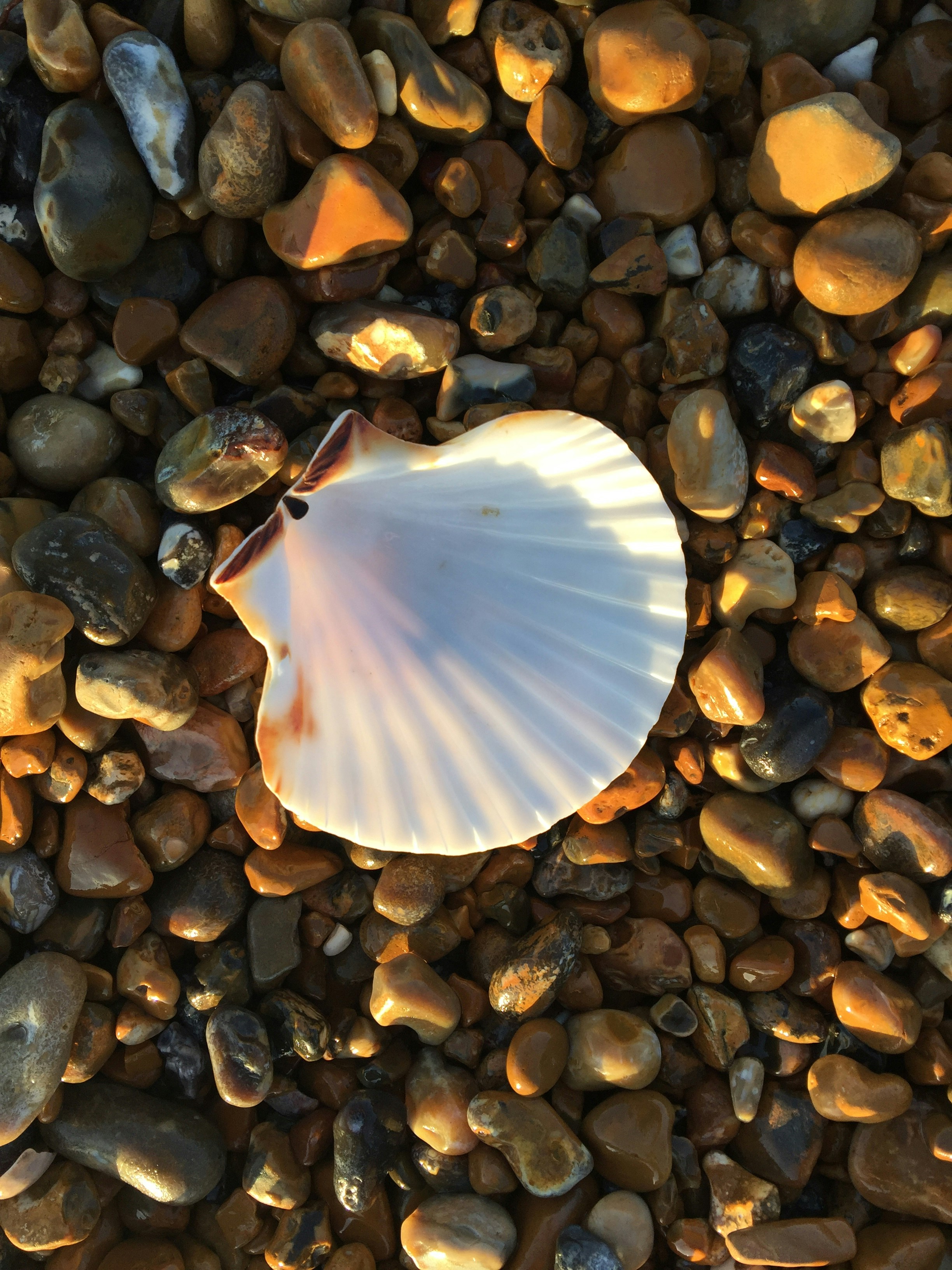 Free Unsplash photo from Chelle McCann