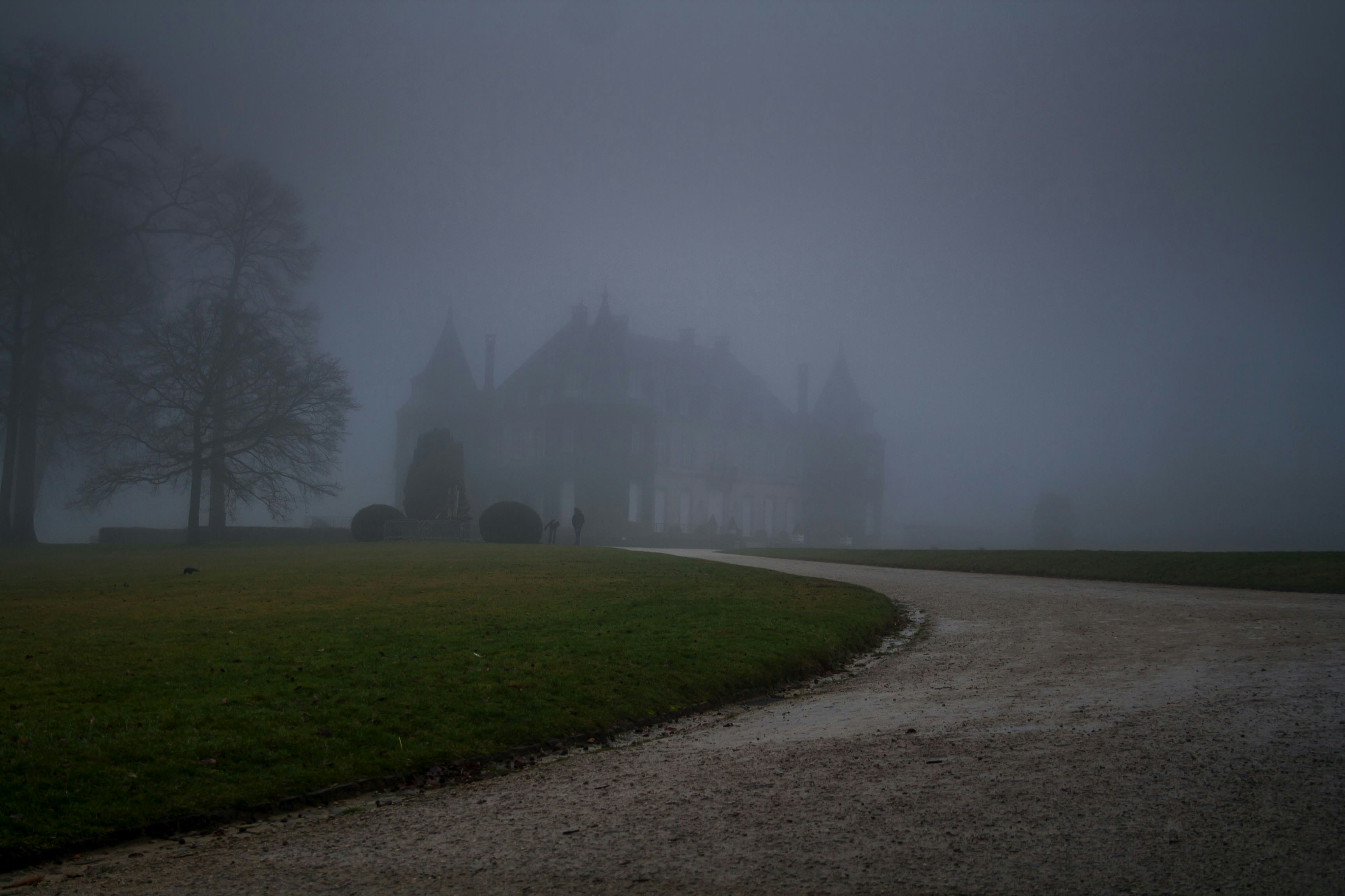 Free Unsplash photo from Nicolas De Smet