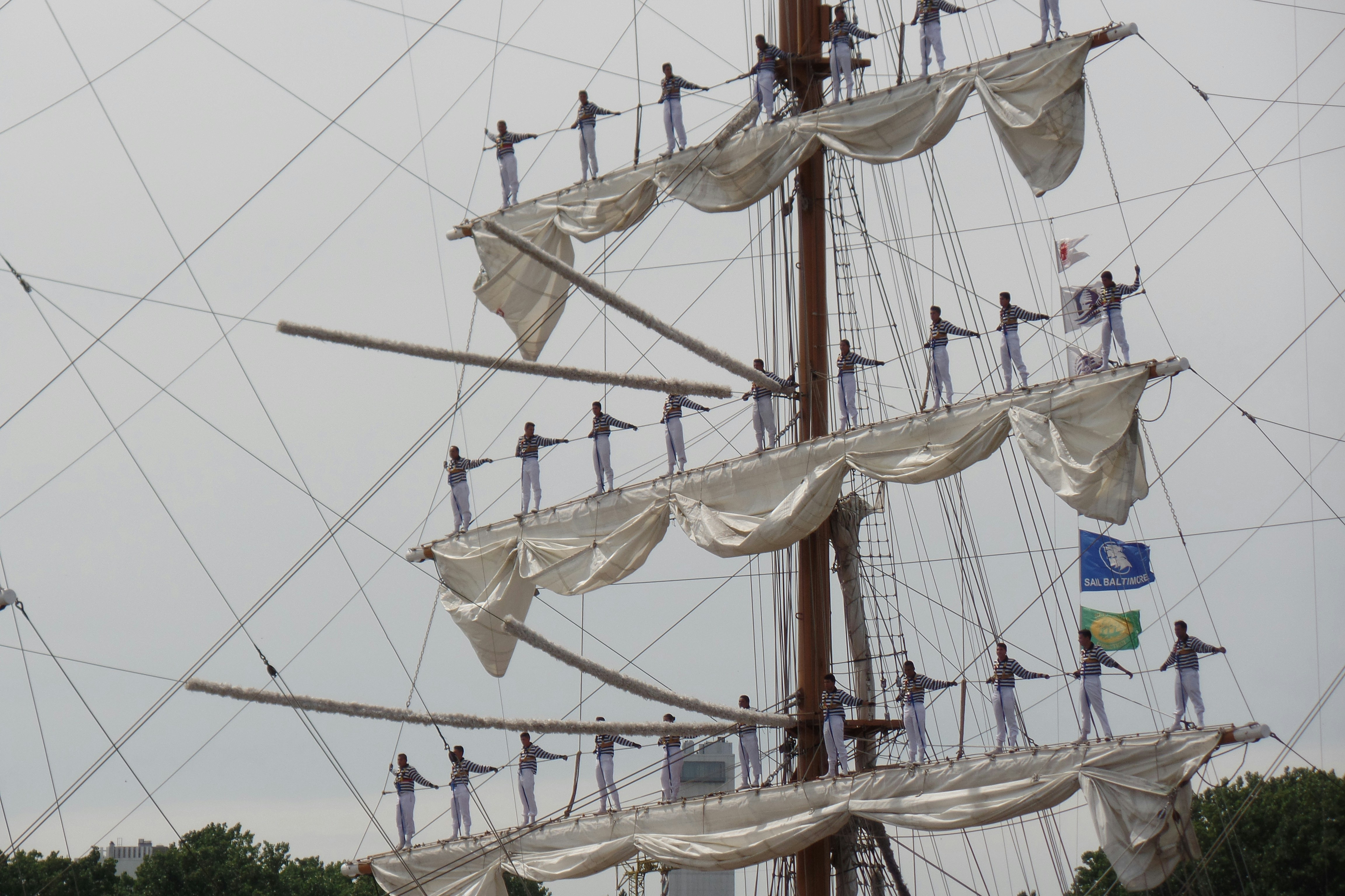 Free Unsplash photo from Paul Ickx