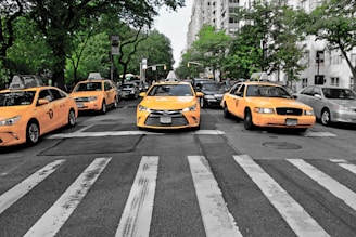 Automobile, Logistics Management