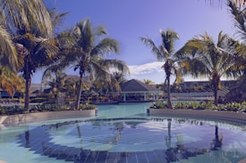 A tropical resort scene featuring a swimming pool surrounded by lush palm trees. The pool has a geometric tile design at the bottom, and there is a pavilion structure in the background. Sunlight casts reflections on the water, creating a serene and inviting atmosphere.