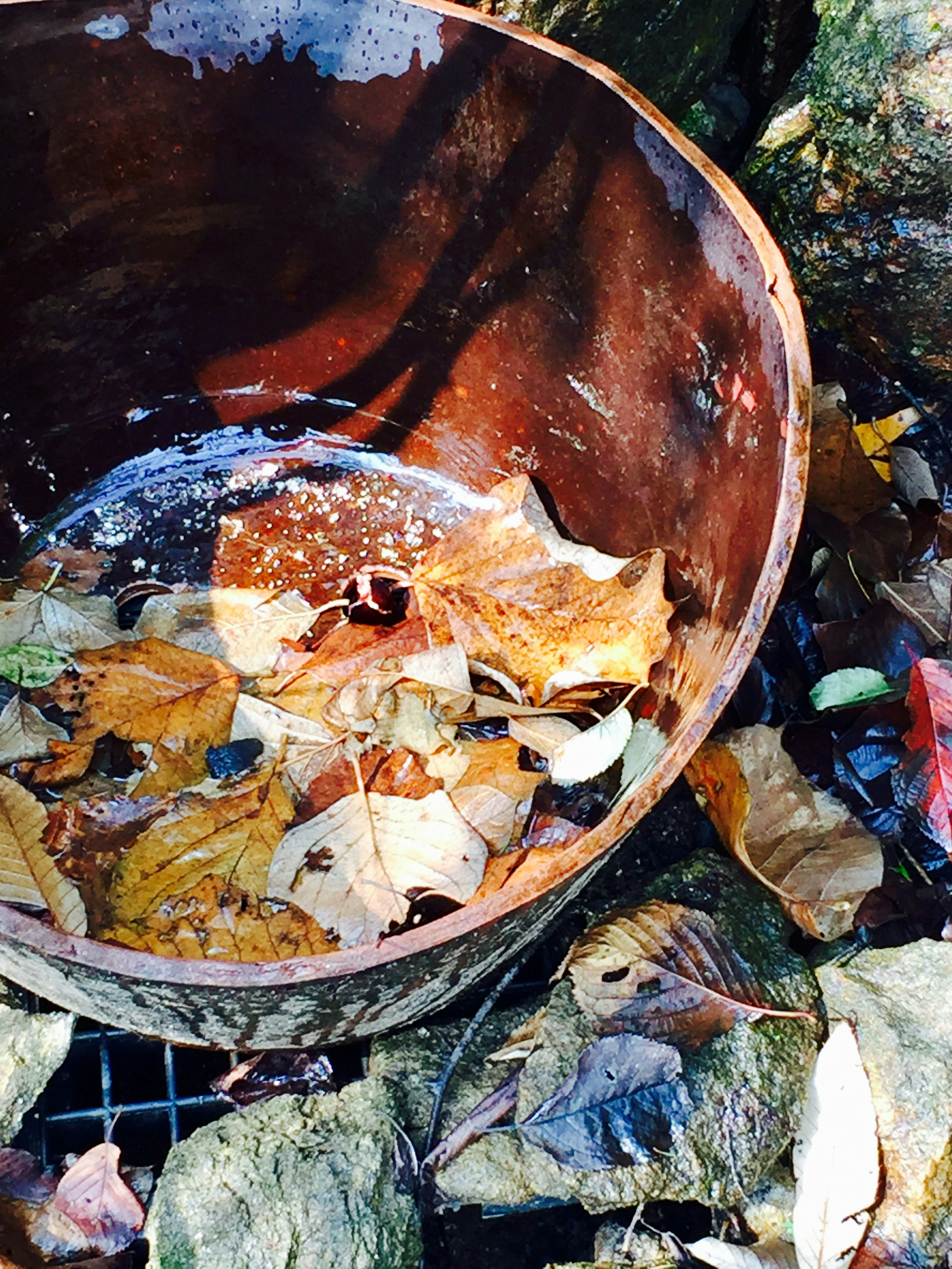 Free Unsplash photo from Lynn Kim