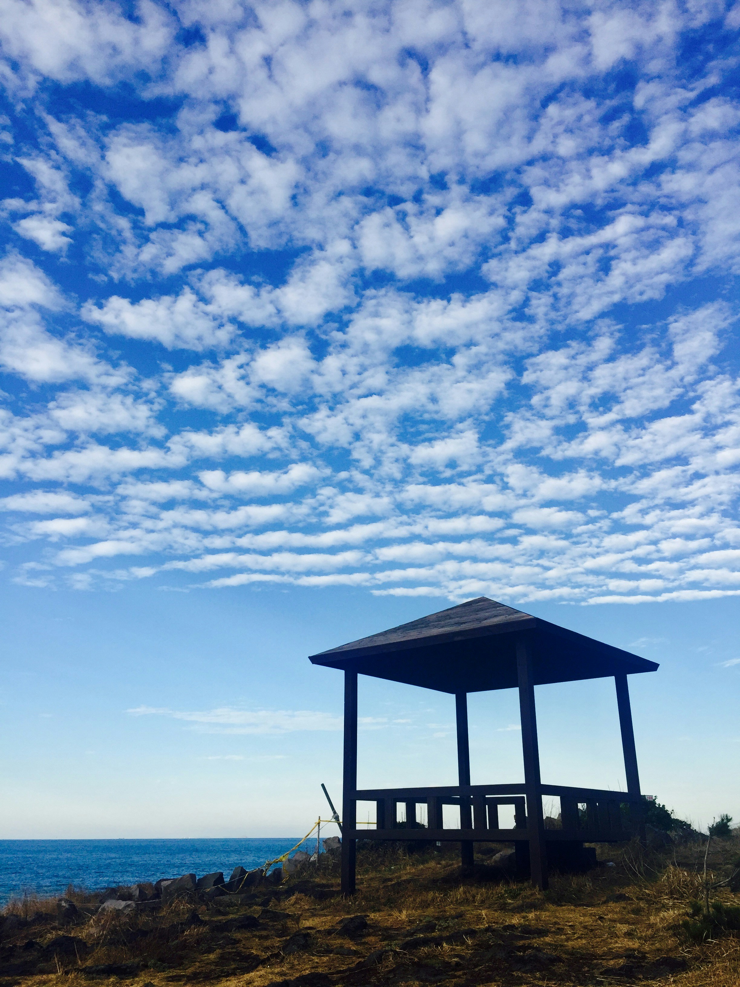 Free Unsplash photo from Lynn Kim