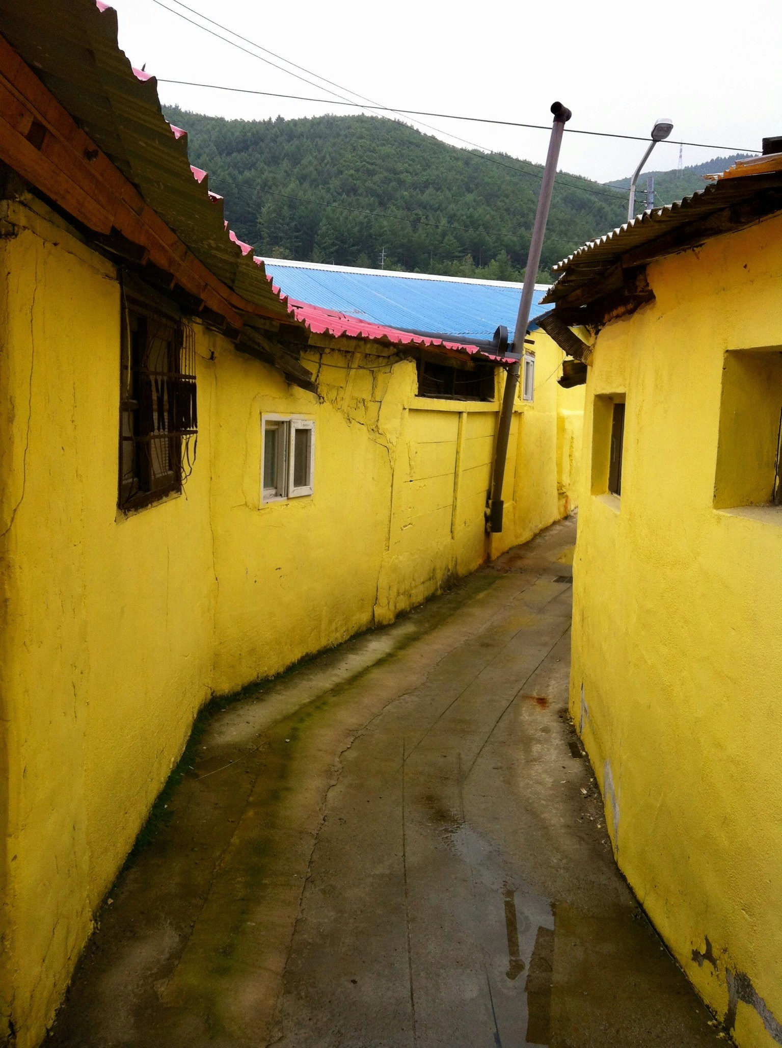 Free Unsplash photo from Lynn Kim