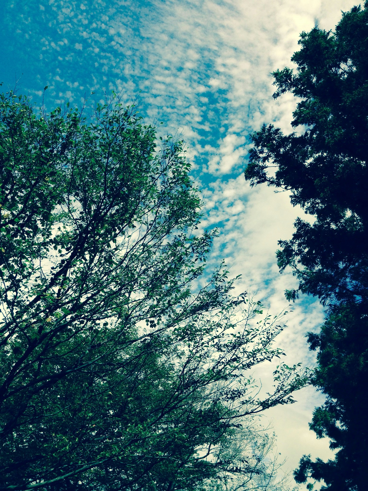 Free Unsplash photo from Lynn Kim