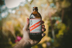 person holding Bed Script lager beer bottle shallow focus photography