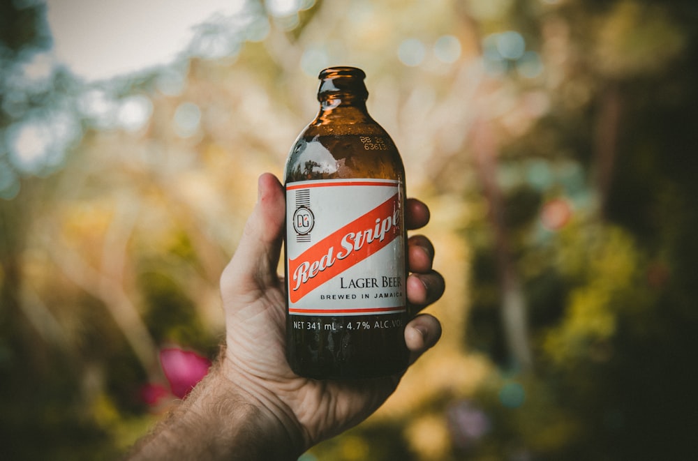 person holding Bed Script lager beer bottle shallow focus photography