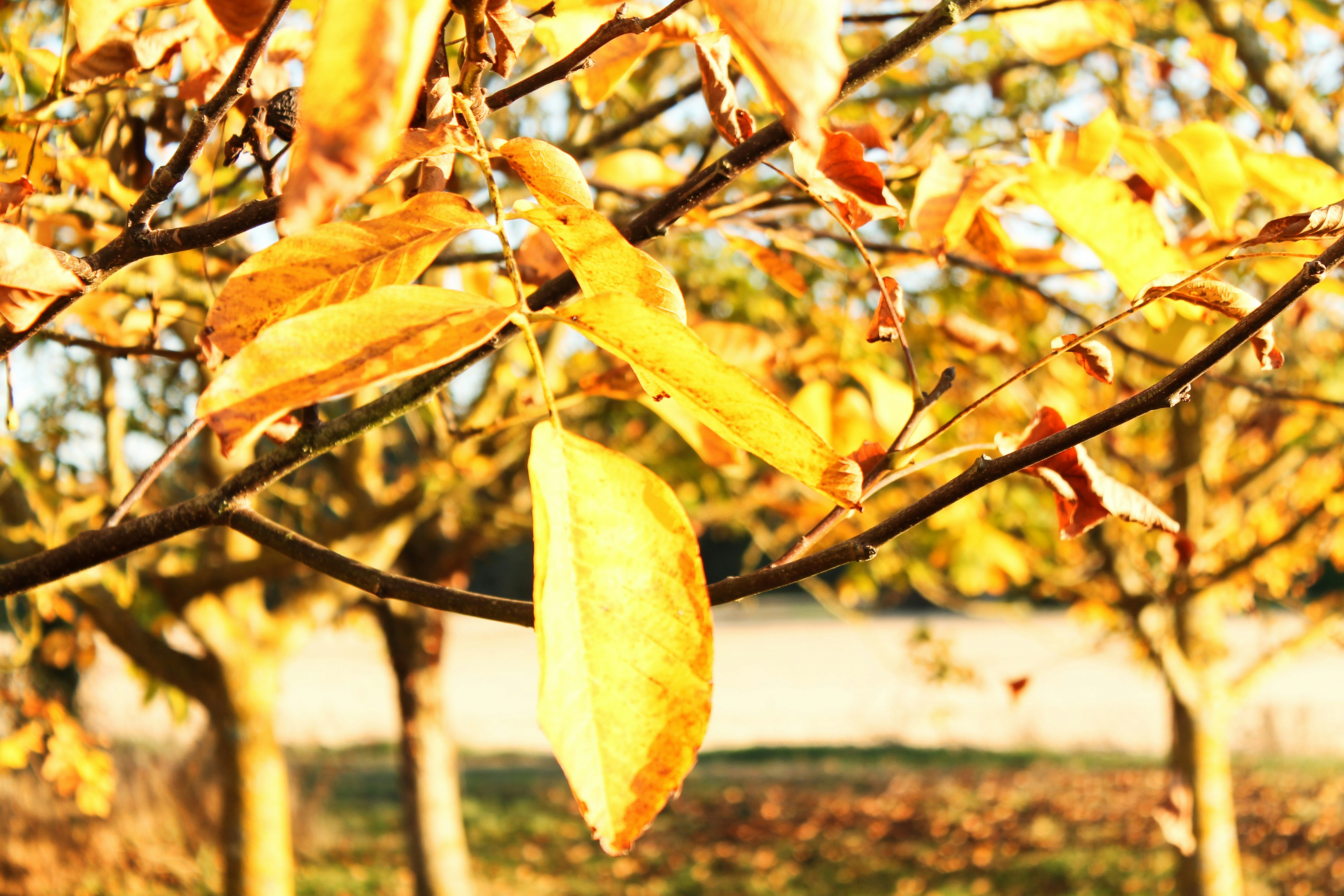 Free Unsplash photo from Mathilde Guichard