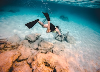 person wearing diving suit underwater shallow focus photography