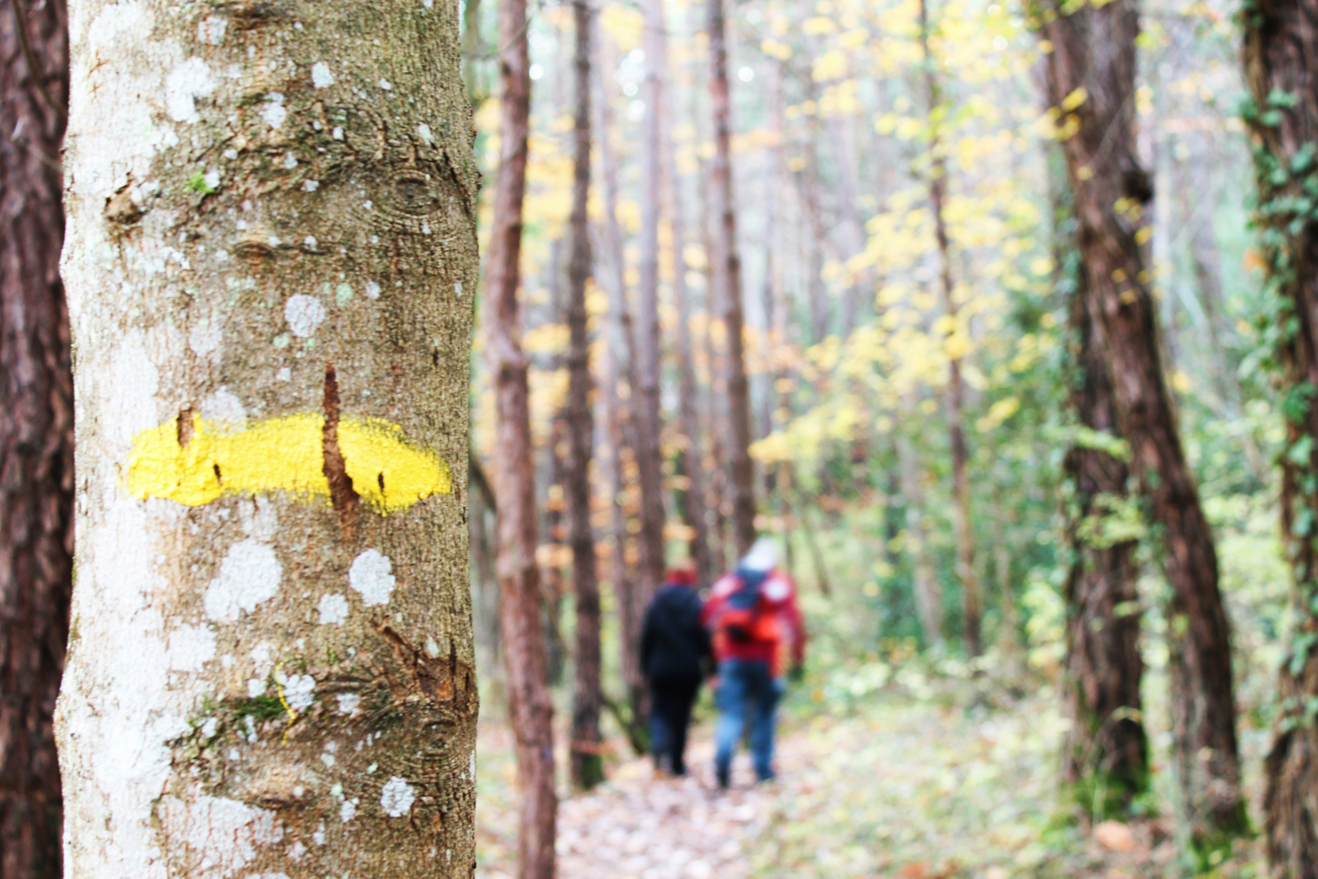 Free Unsplash photo from Mathilde Guichard