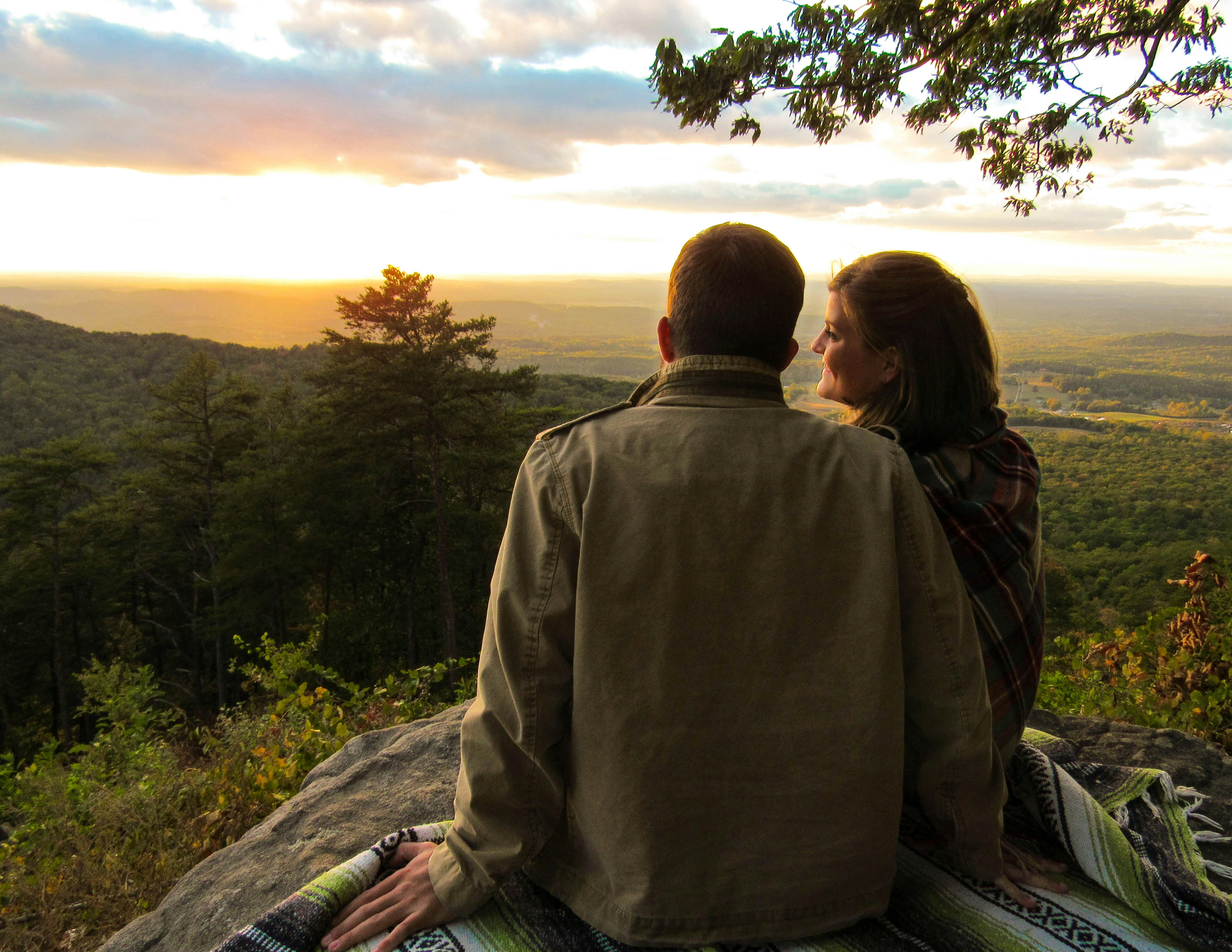 The Dating Safari: Navigating the Jungle of Modern Romance