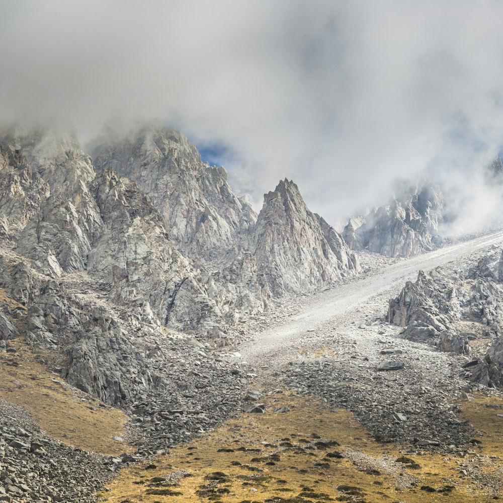 Montaña cubierta de nieve