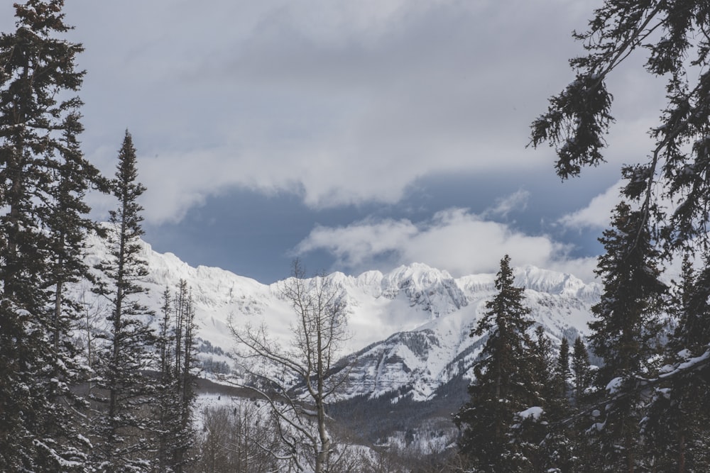 snow covered mountain under cloudy sky