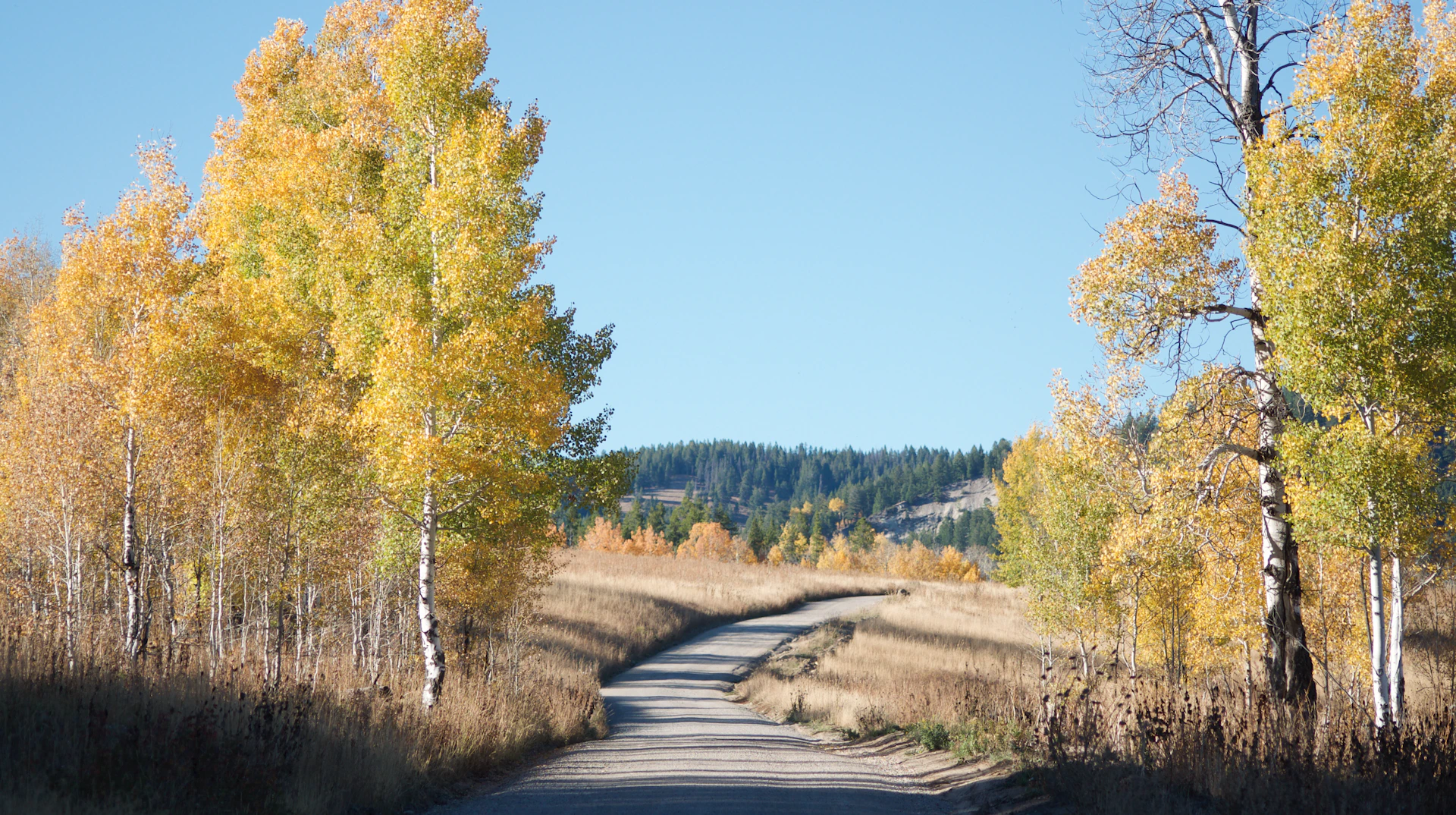 gray computer monitor