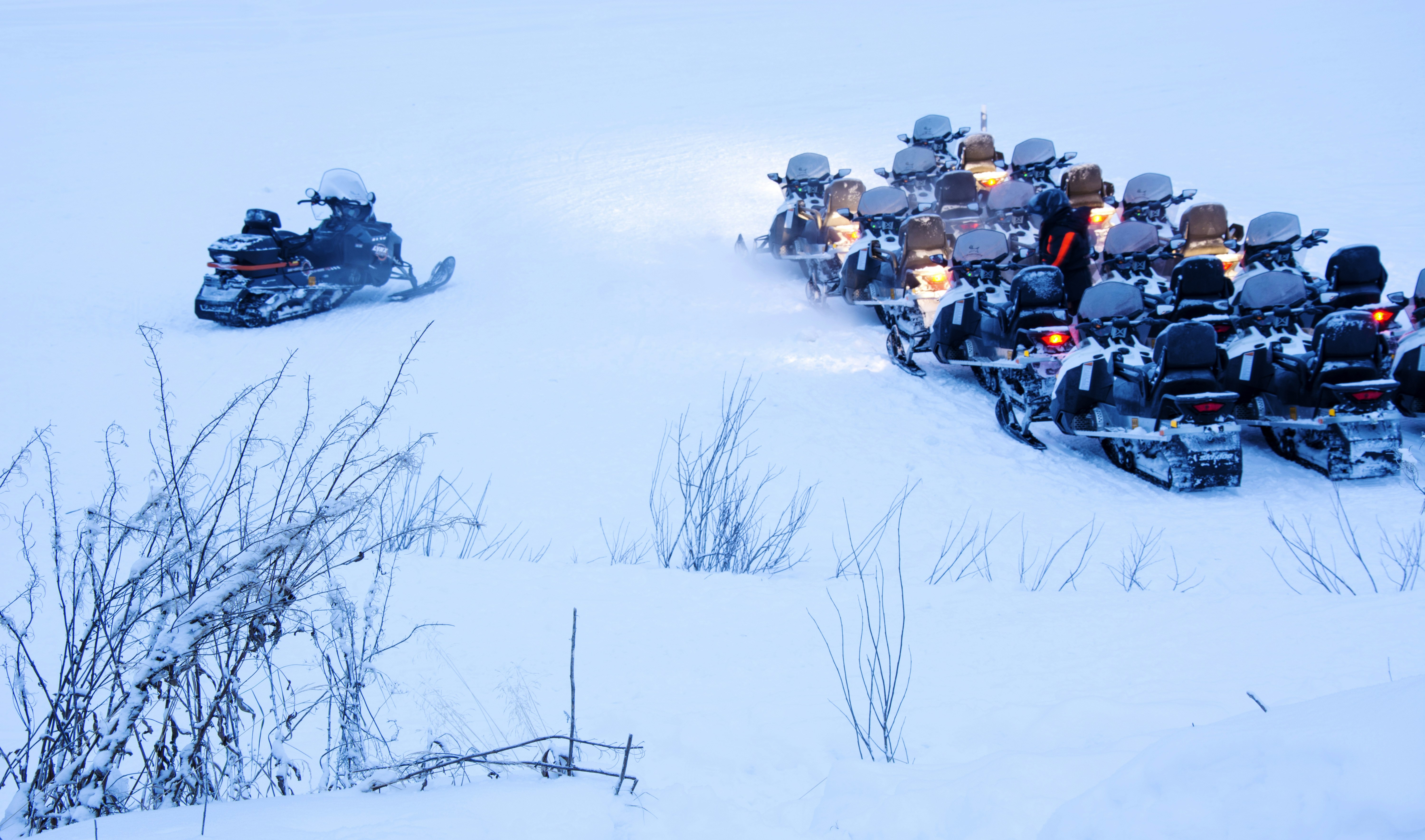 Free Unsplash photo from Jiajing Huang