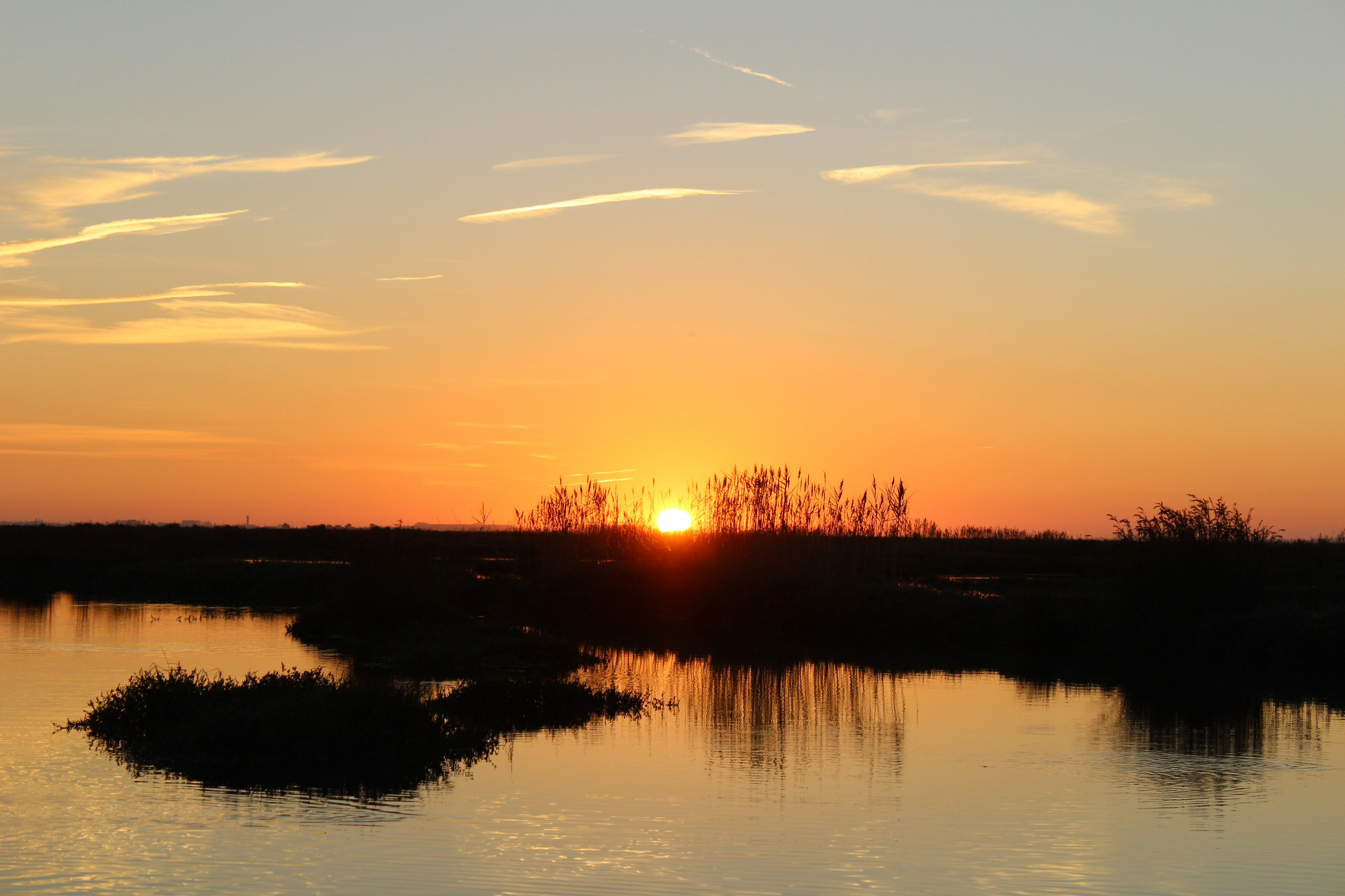 Free Unsplash photo from Gerson Martins