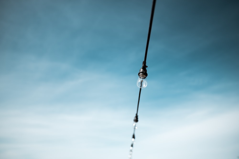 photo of string bulb light