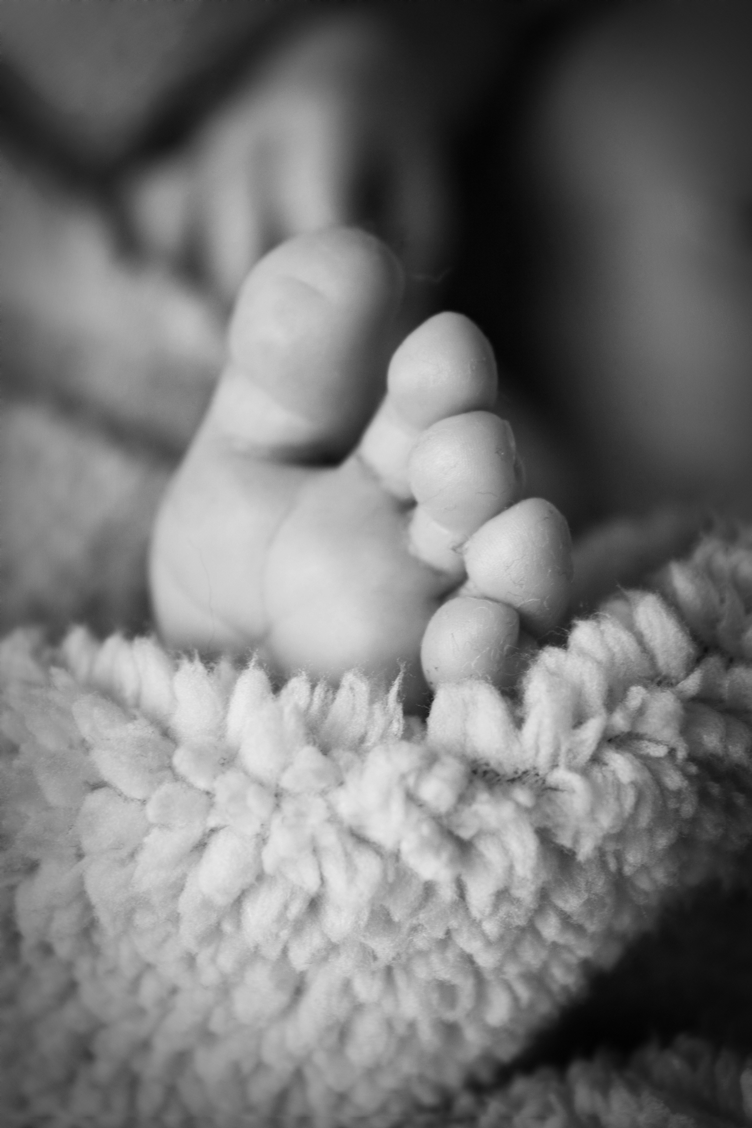 Free Unsplash photo from Kai Balbin