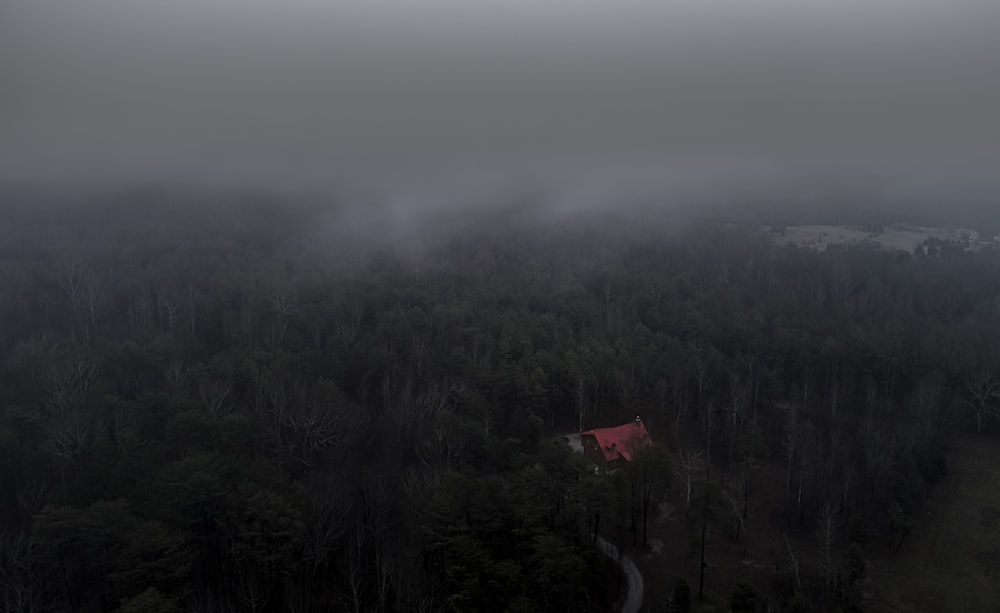 aerial photo of trees and house